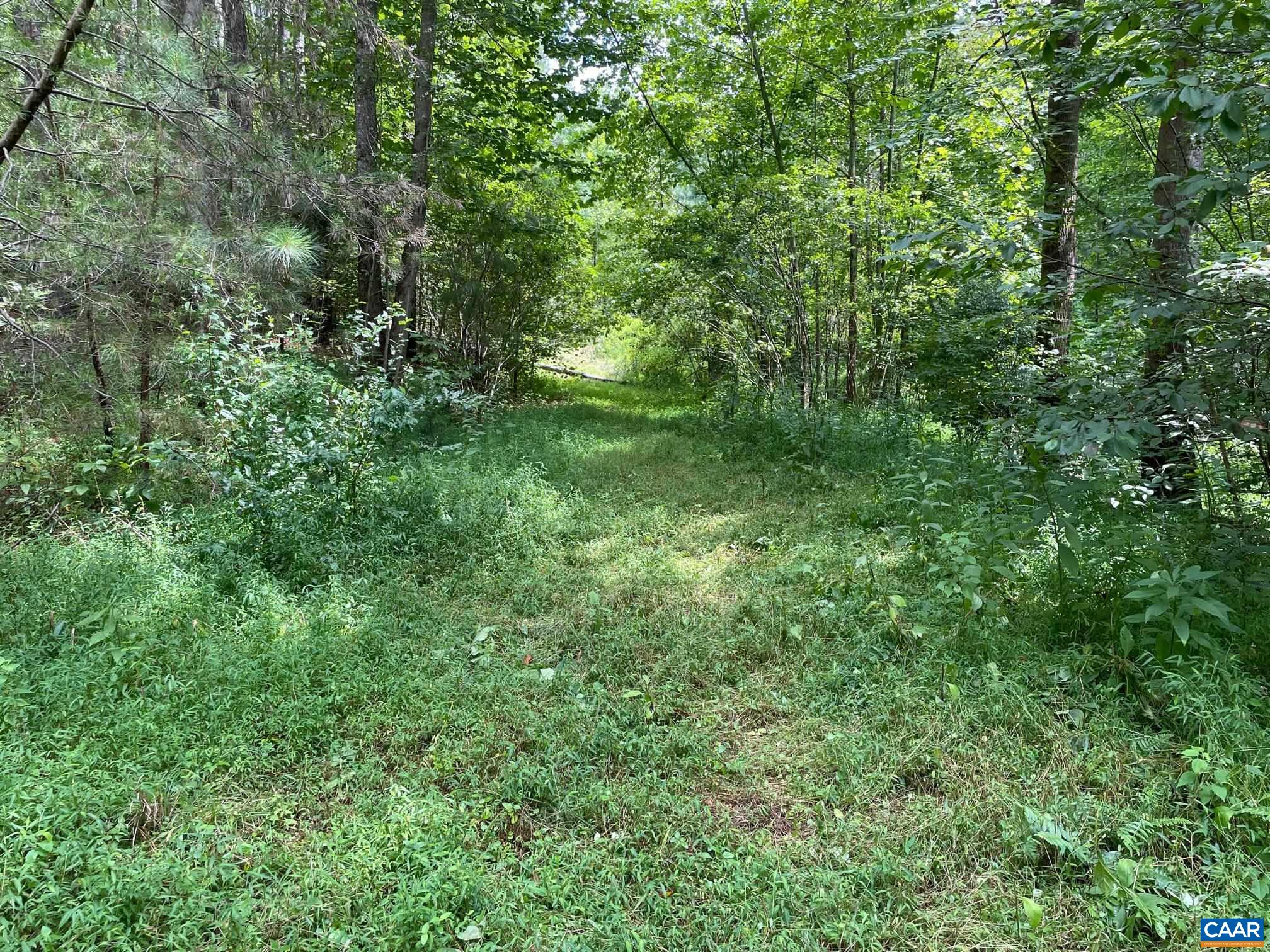 STARVALE LN