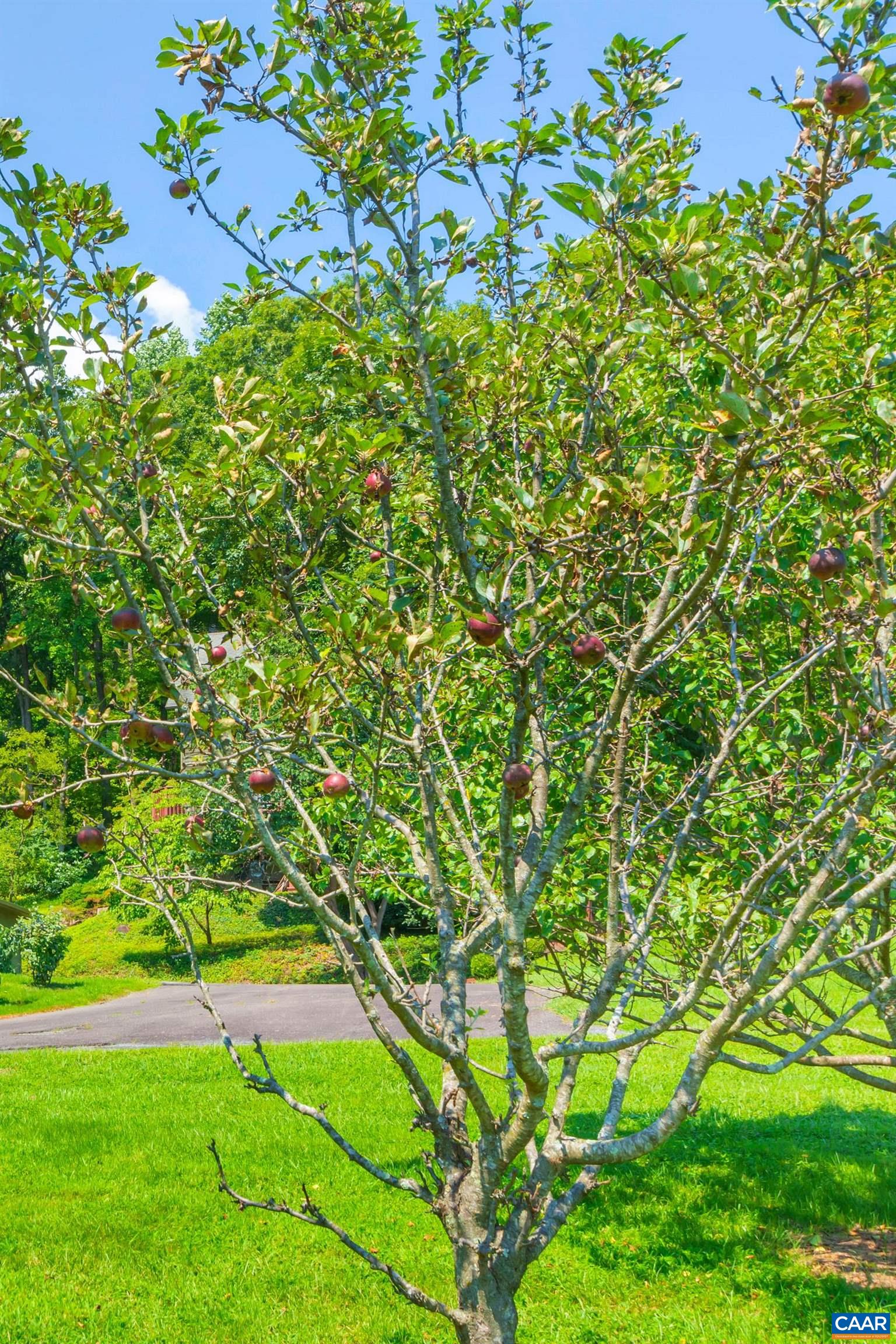 394 PASTUREGATE LN