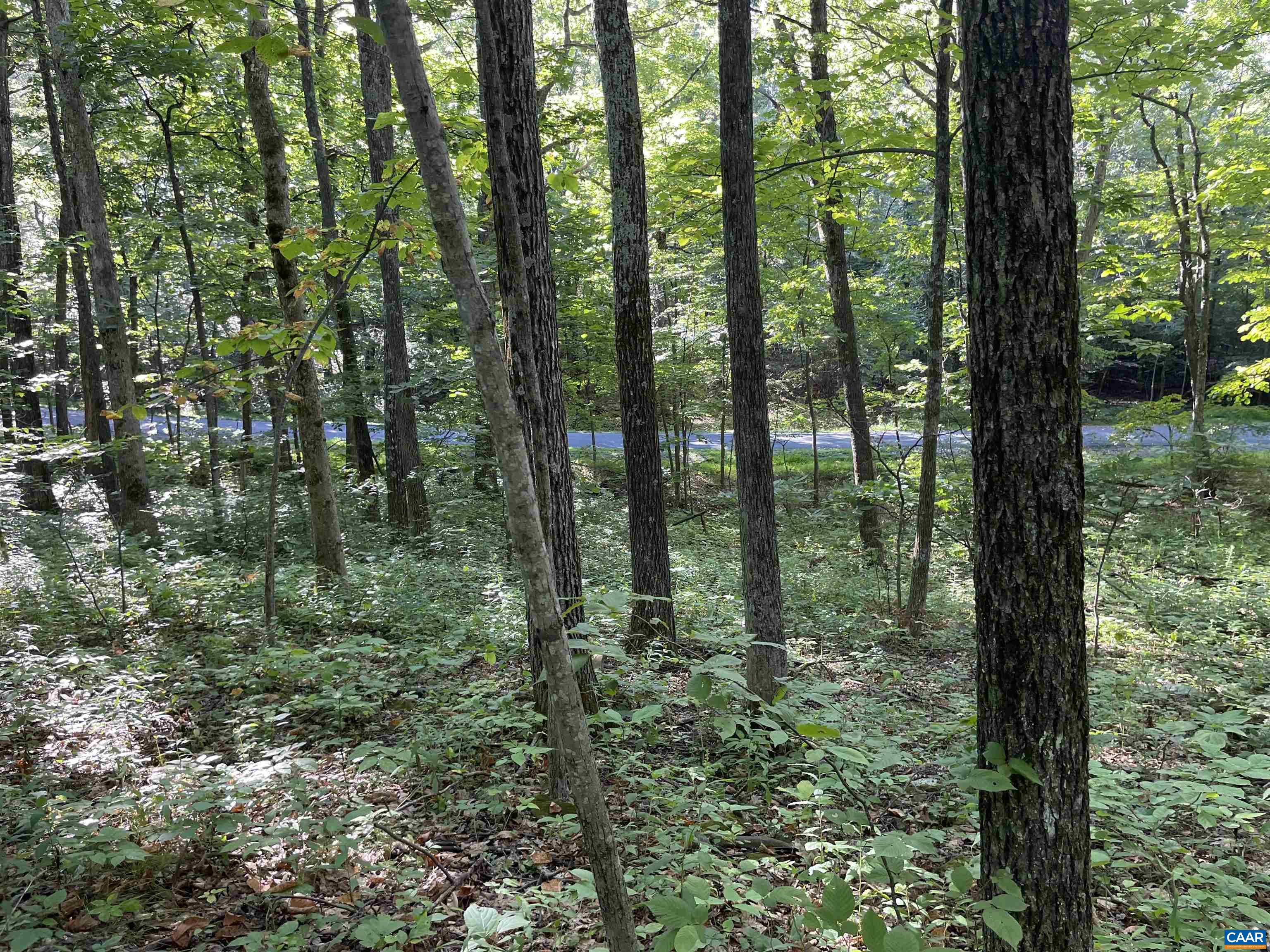 Lot 94 GUMTREE DR Unit: 94