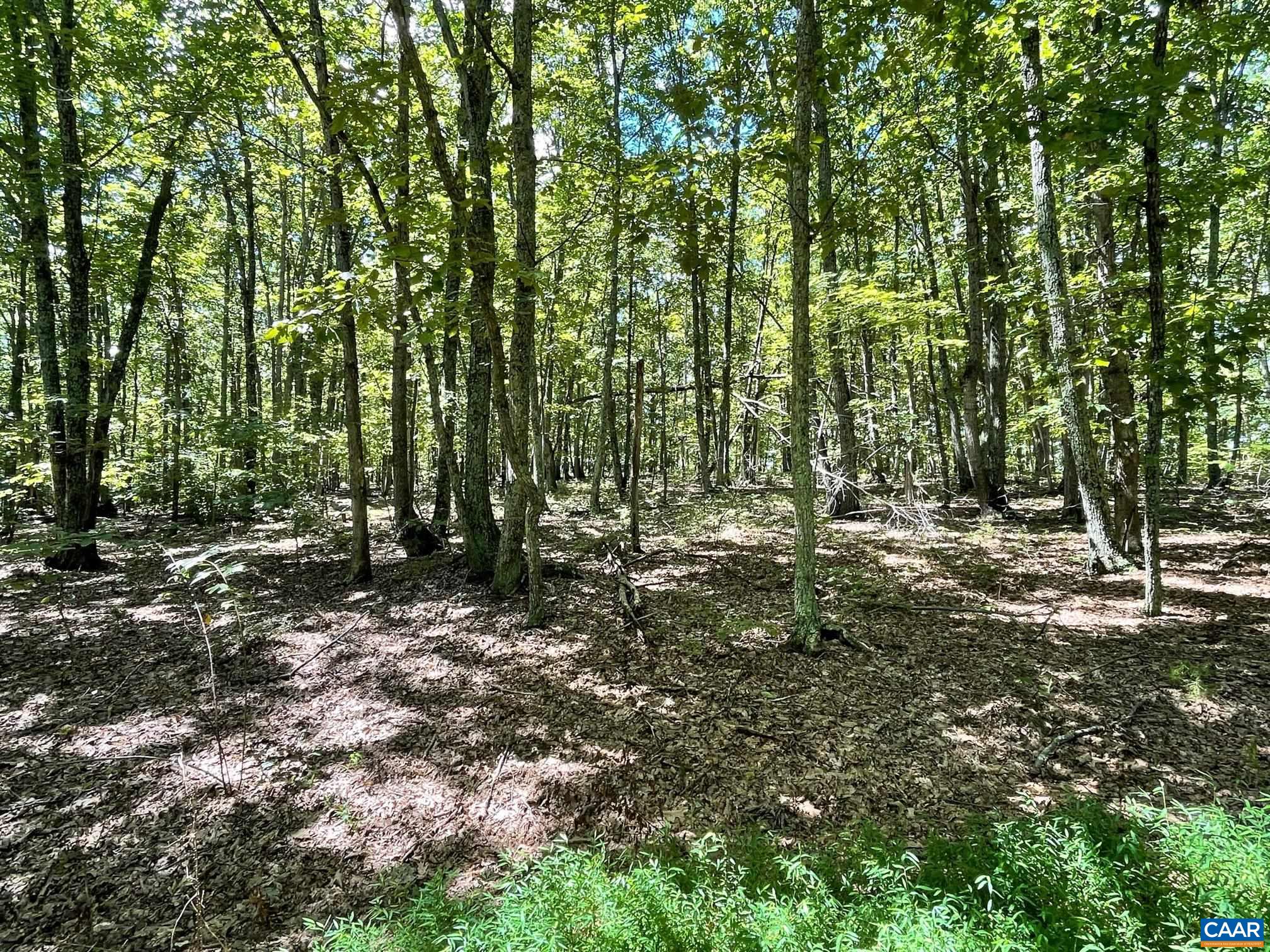 Lot 5 PINE TRL Unit: 5