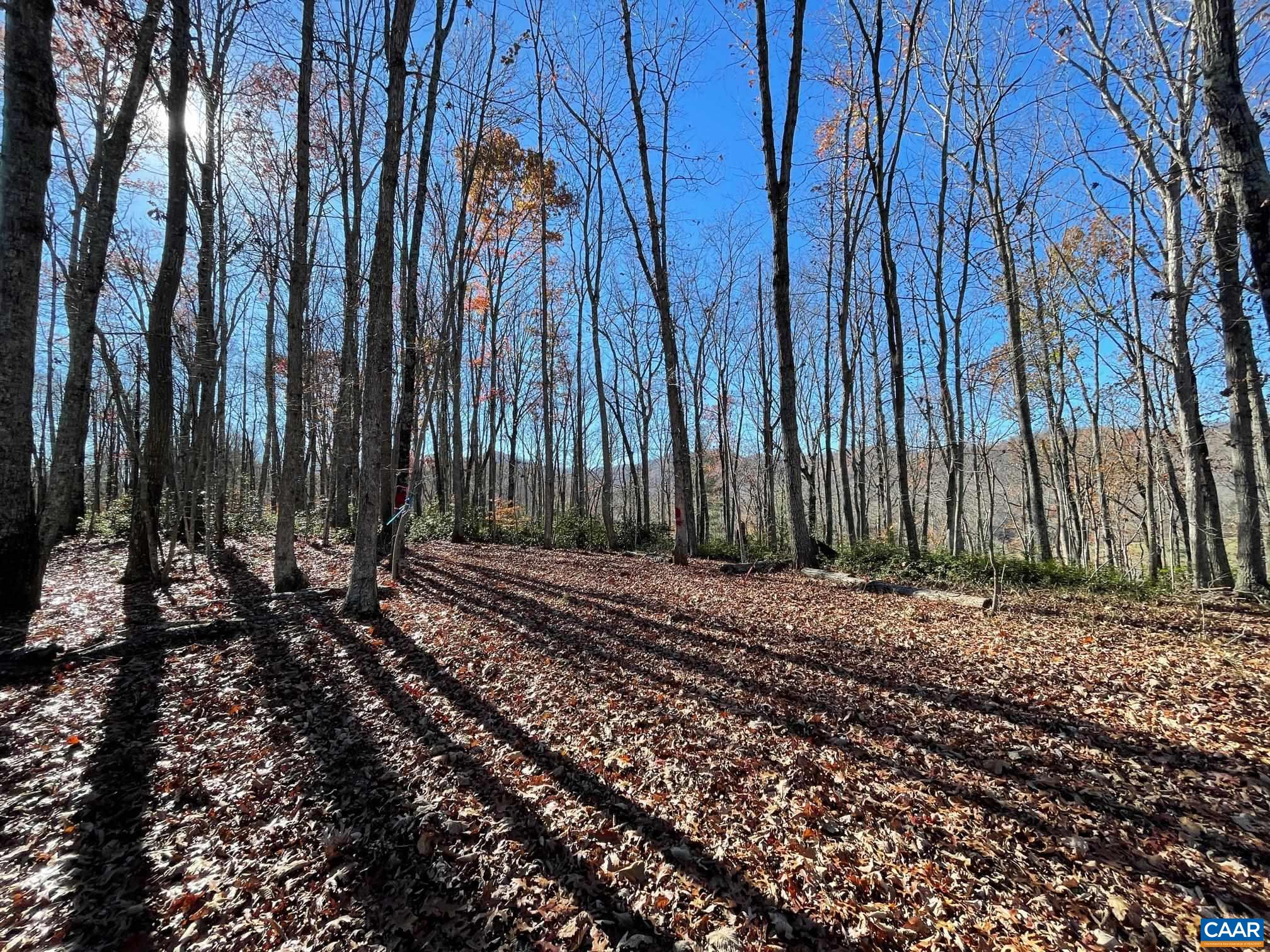 Lot 5 PINE TRL Unit: 5