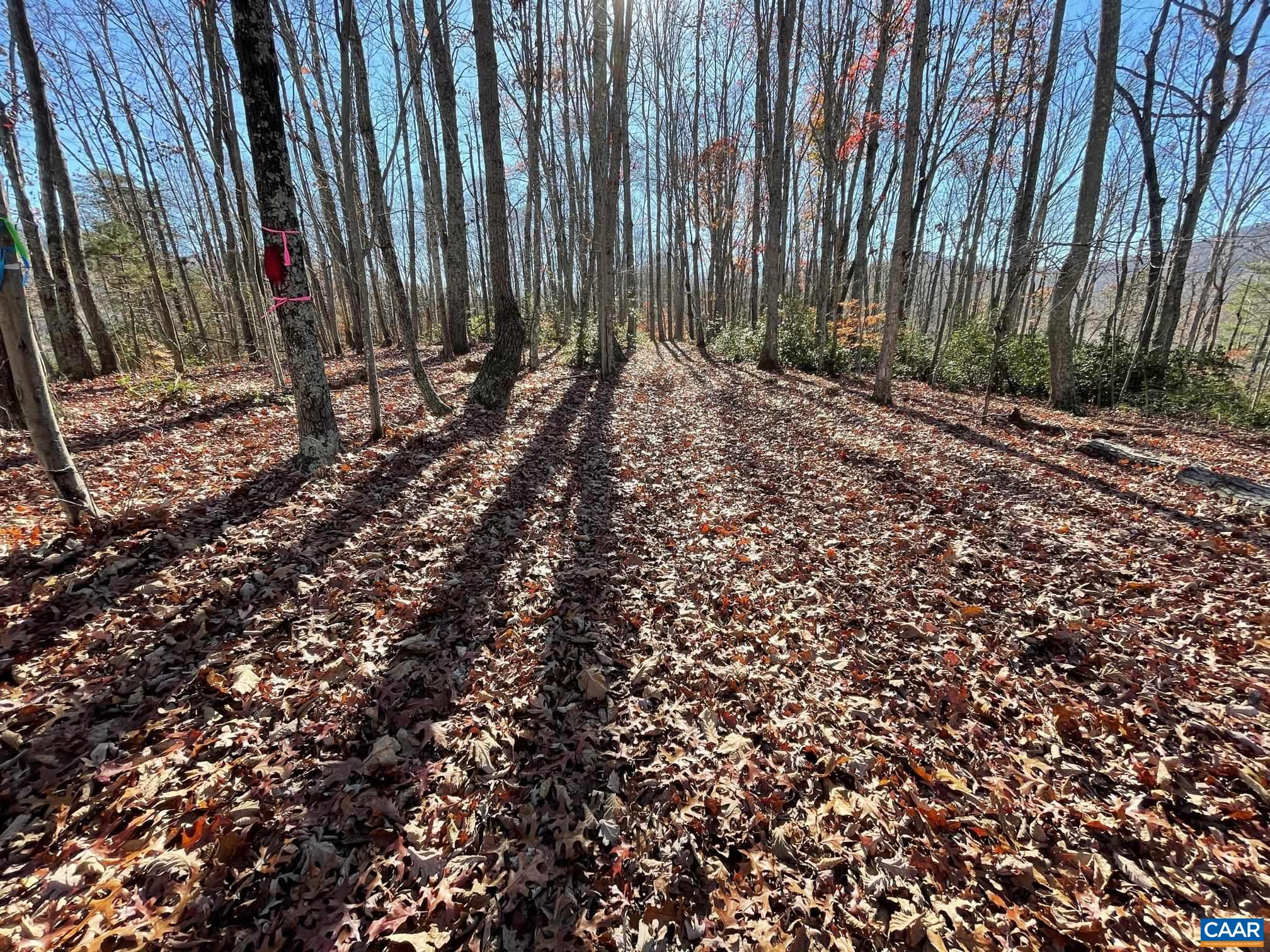 Lot 5 PINE TRL Unit: 5