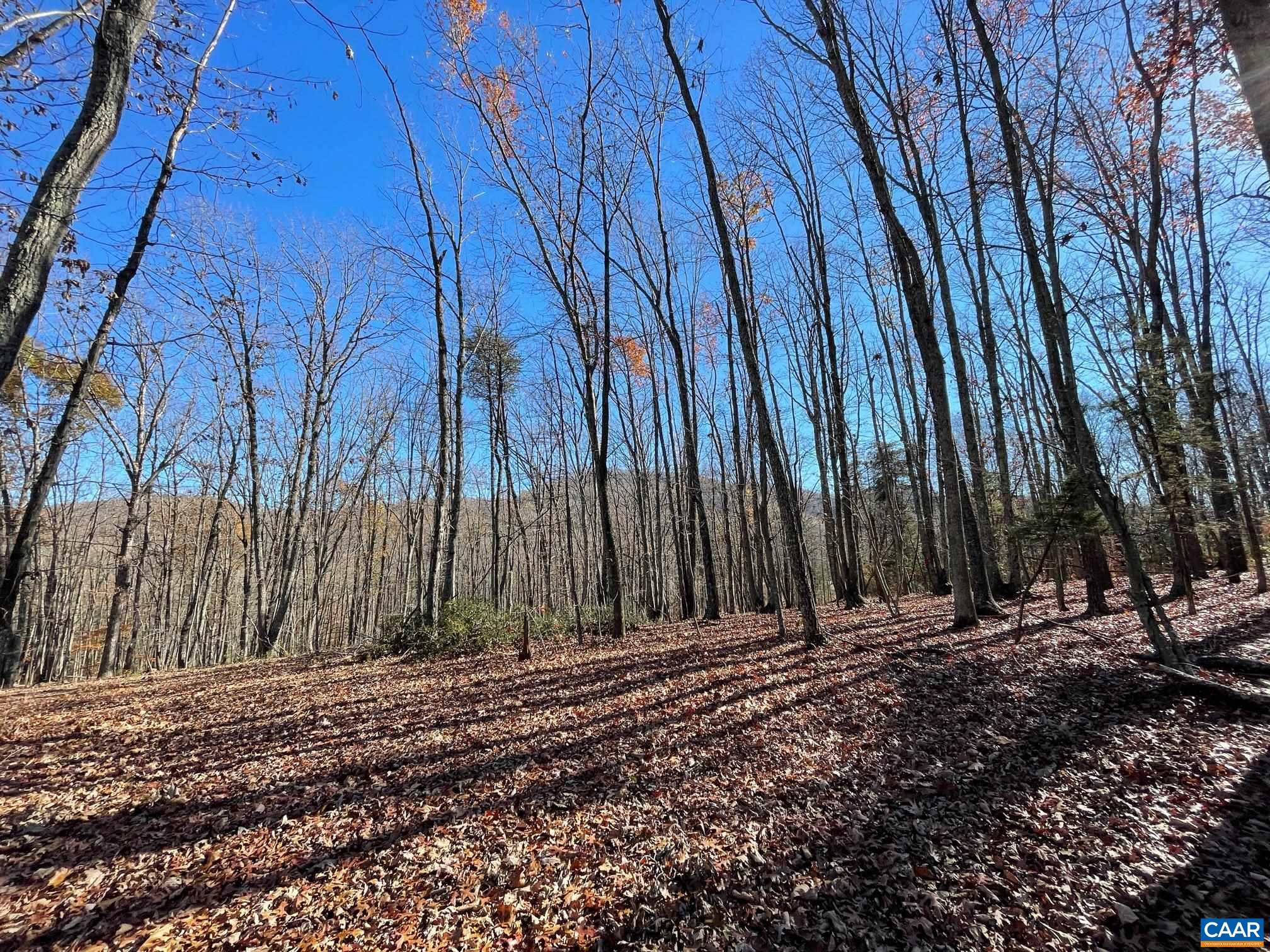 Lot 5 PINE TRL Unit: 5