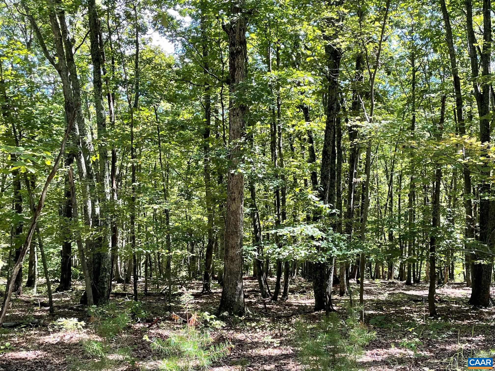 Lot 5 PINE TRL Unit: 5