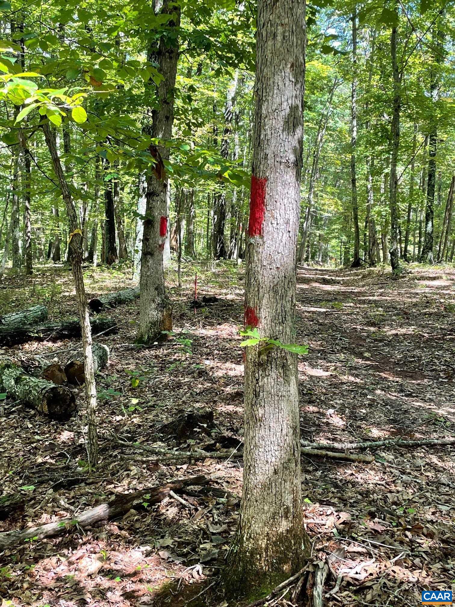 Lot 5 PINE TRL Unit: 5