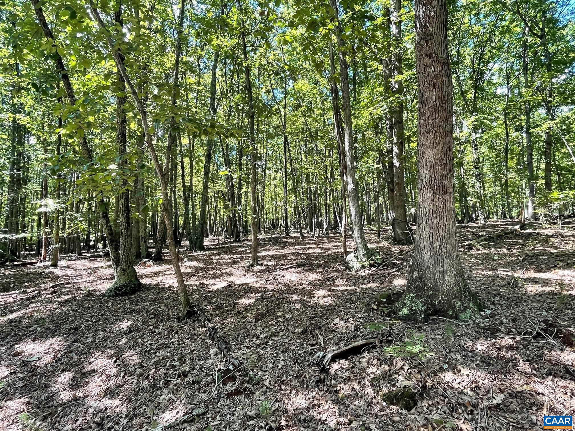 Lot 5 PINE TRL Unit: 5