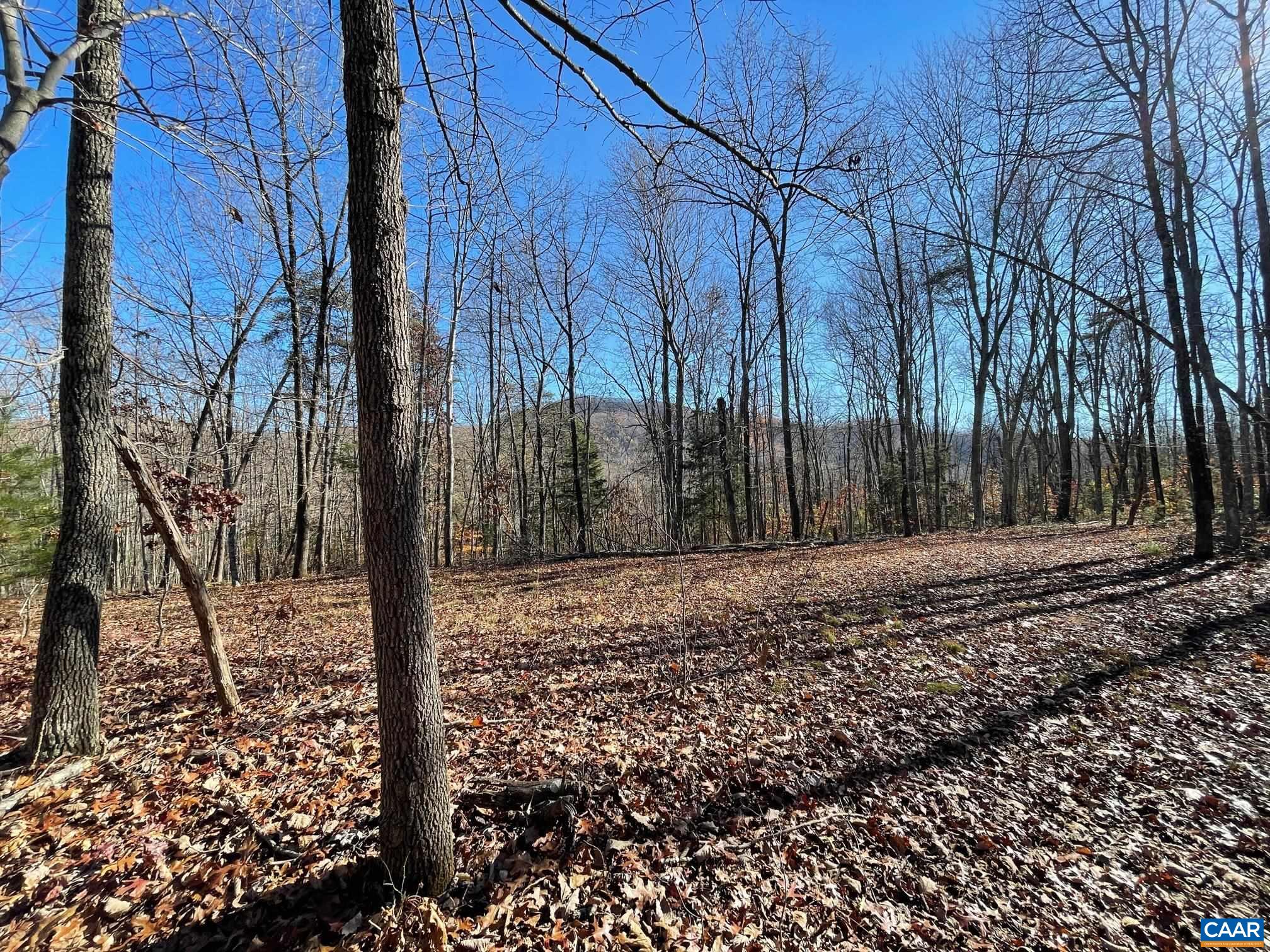 Lot 4 PINE TRL Unit: 4