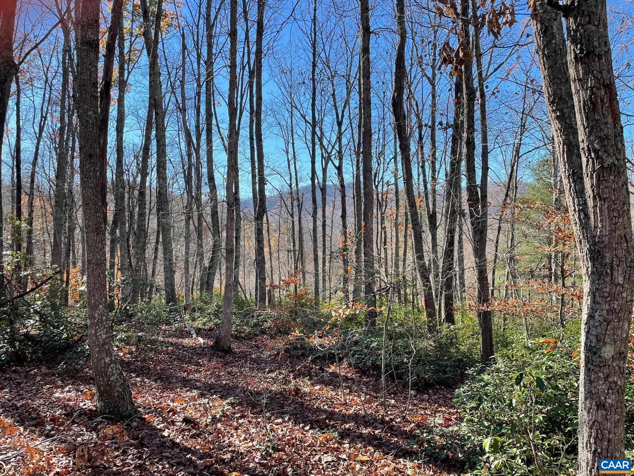 Lot 4 PINE TRL Unit: 4