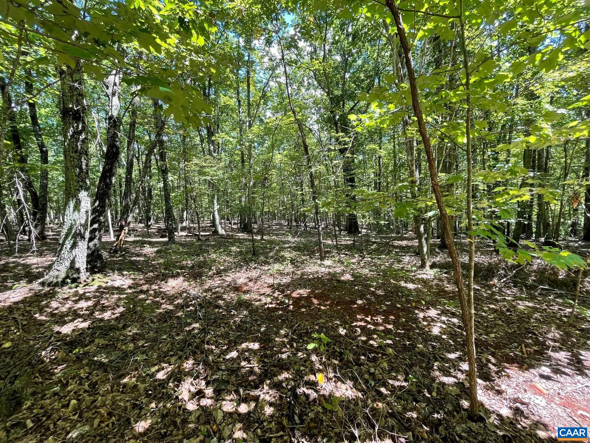 Lot 4 PINE TRL Unit: 4