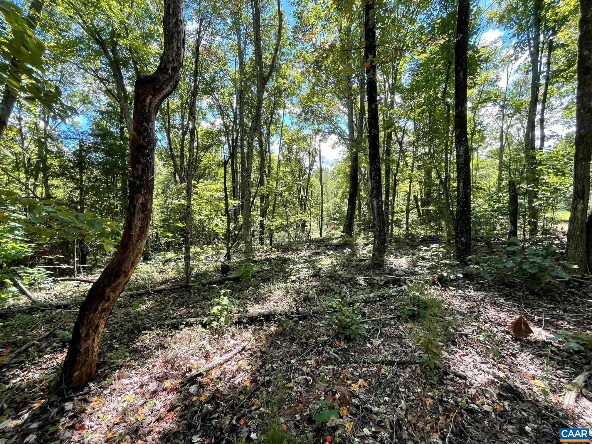 Lot 4 PINE TRL Unit: 4