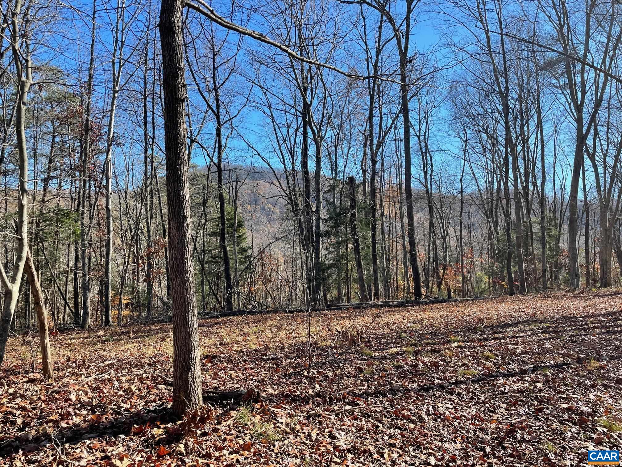 Lot 4 PINE TRL Unit: 4