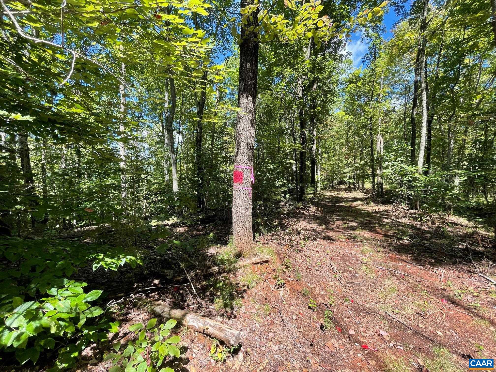 Lot 4 PINE TRL Unit: 4