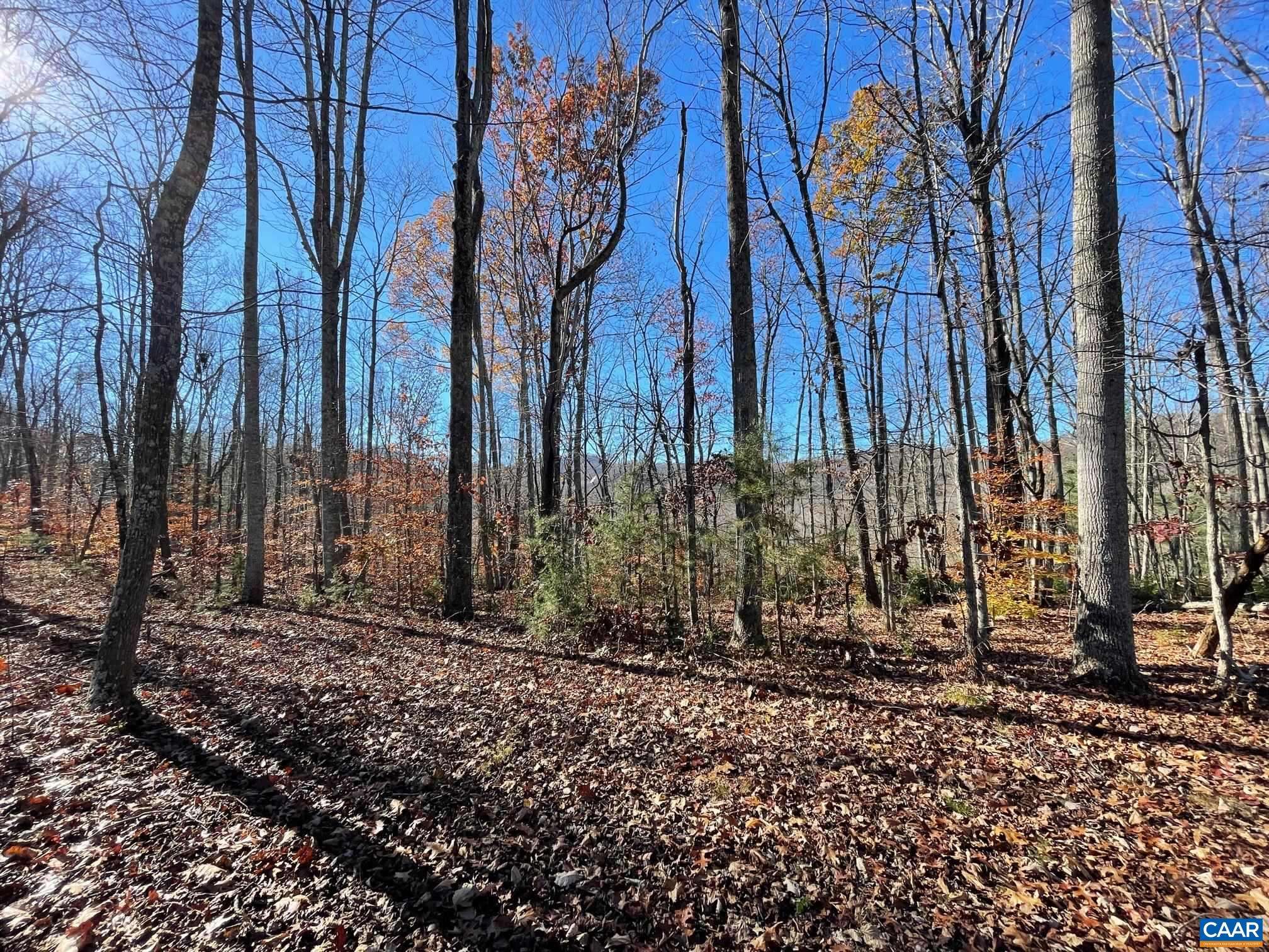 Lot 4 PINE TRL Unit: 4