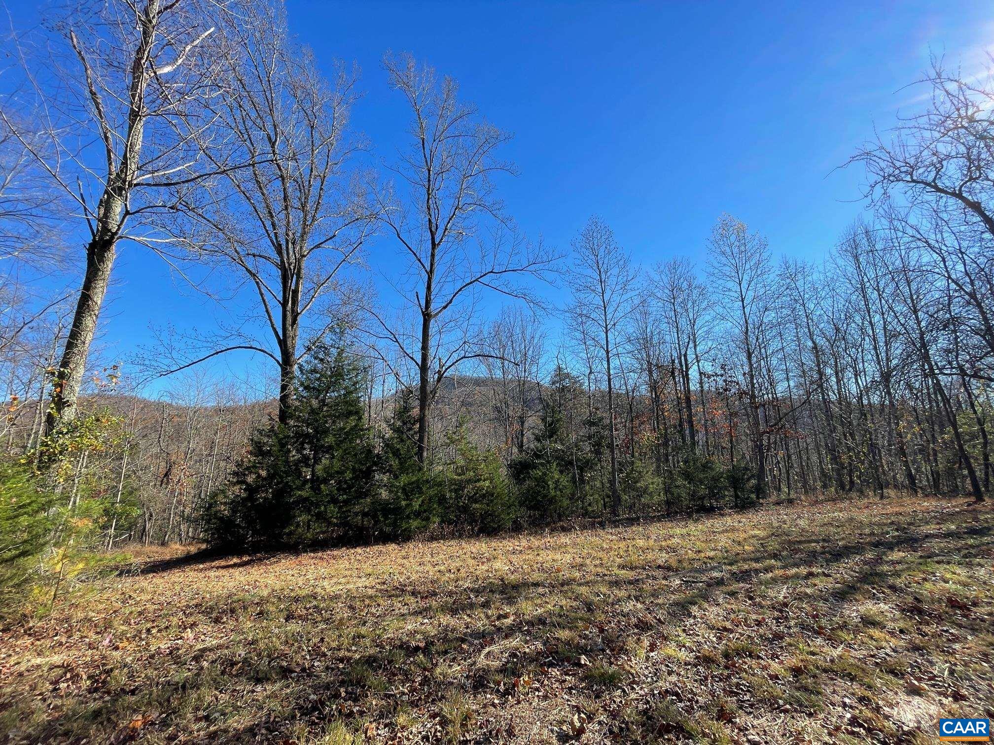 Lot 3 PINE TRL Unit: 3