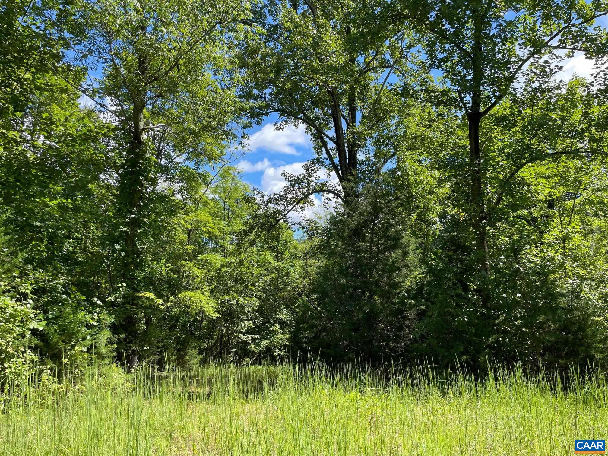 Lot 3 PINE TRL Unit: 3