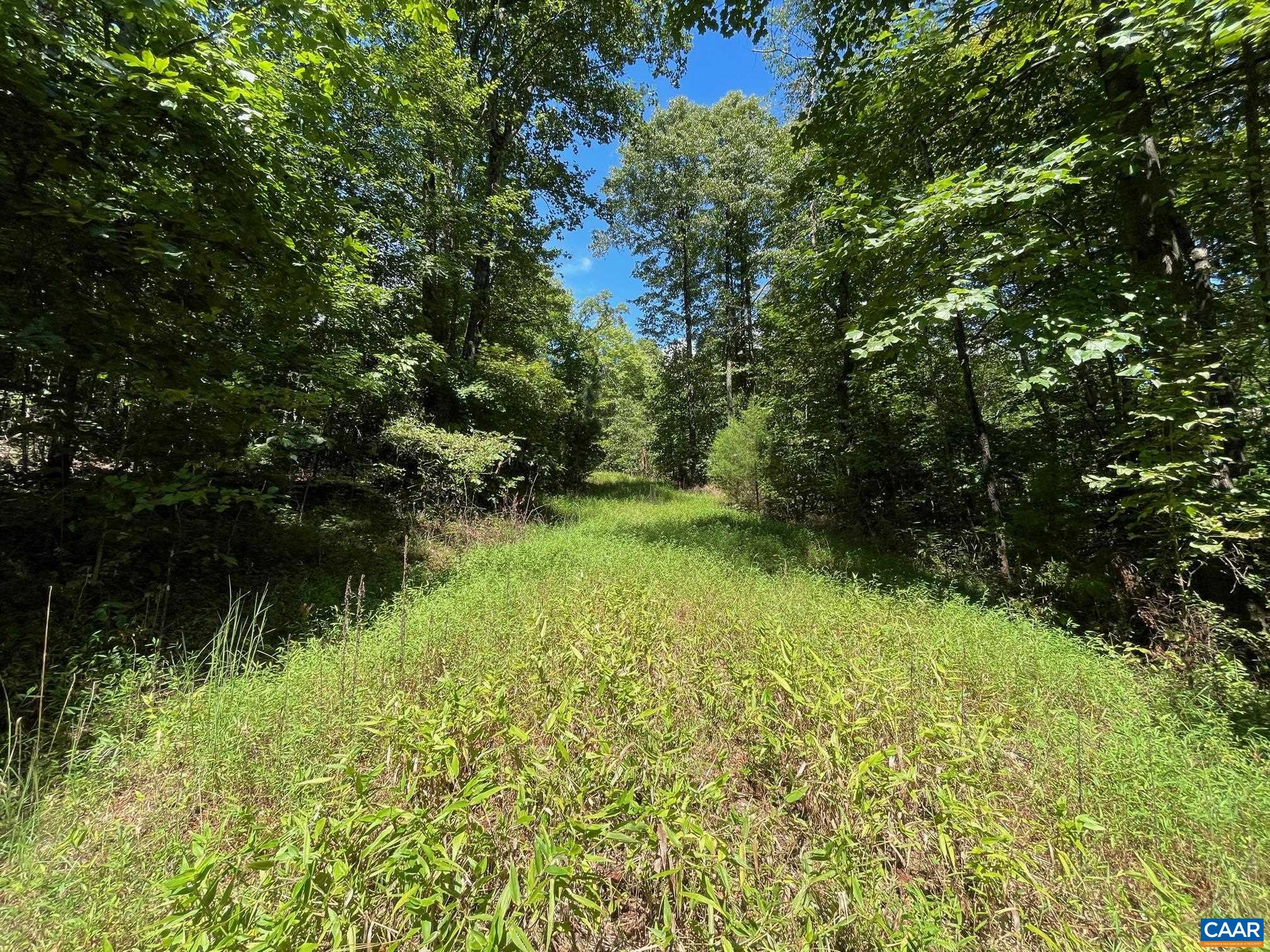 Lot 3 PINE TRL Unit: 3
