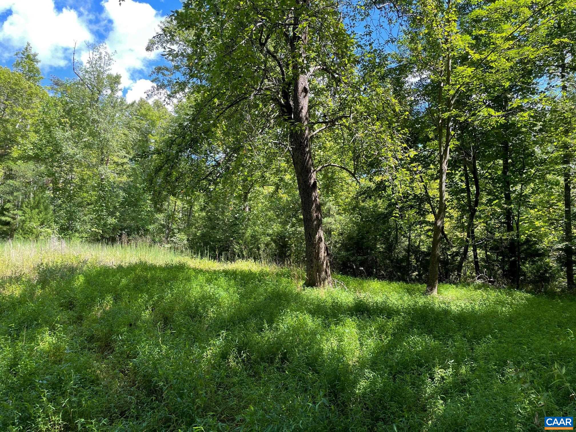 Lot 3 PINE TRL Unit: 3