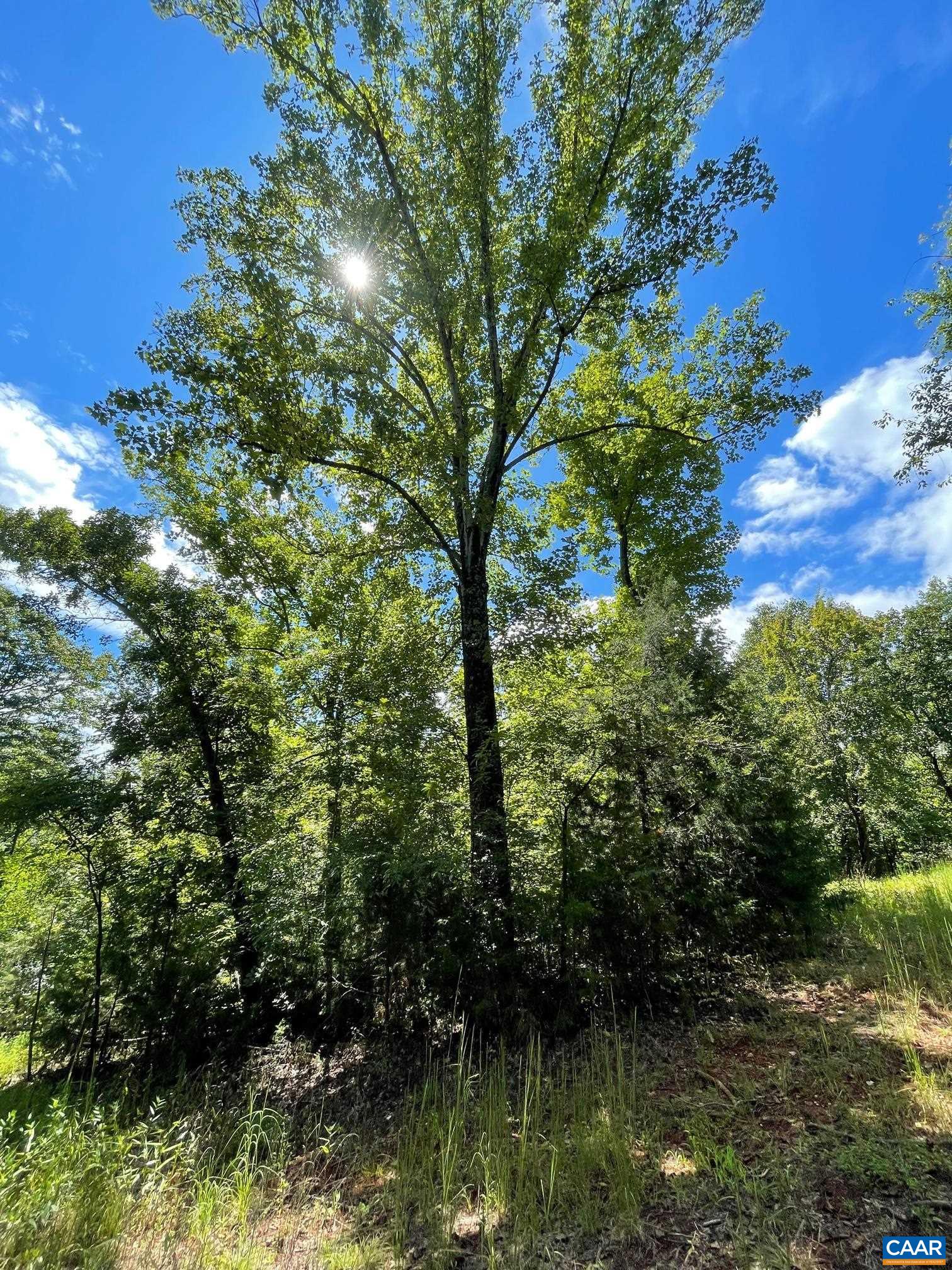 Lot 3 PINE TRL Unit: 3