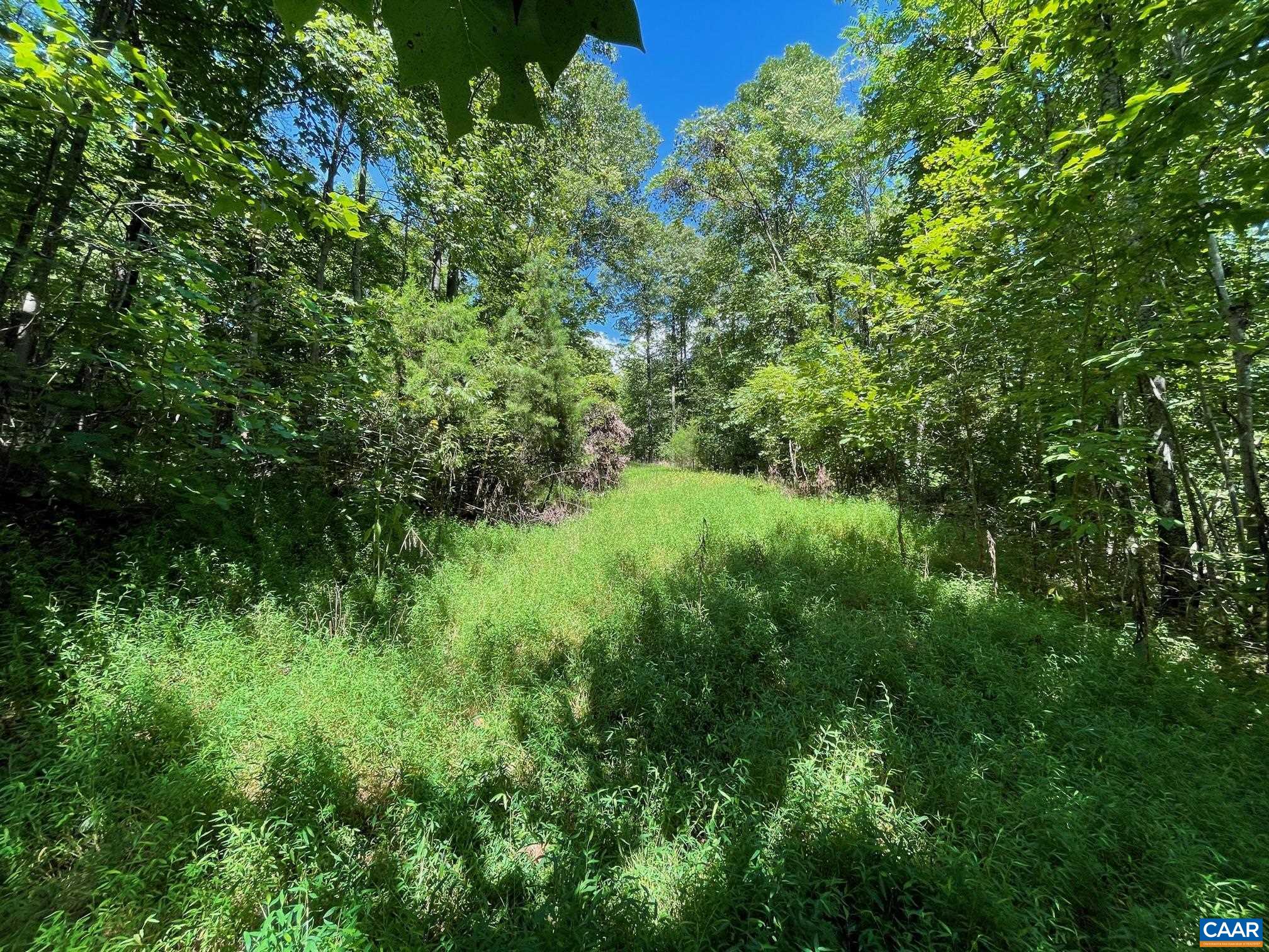 Lot 3 PINE TRL Unit: 3