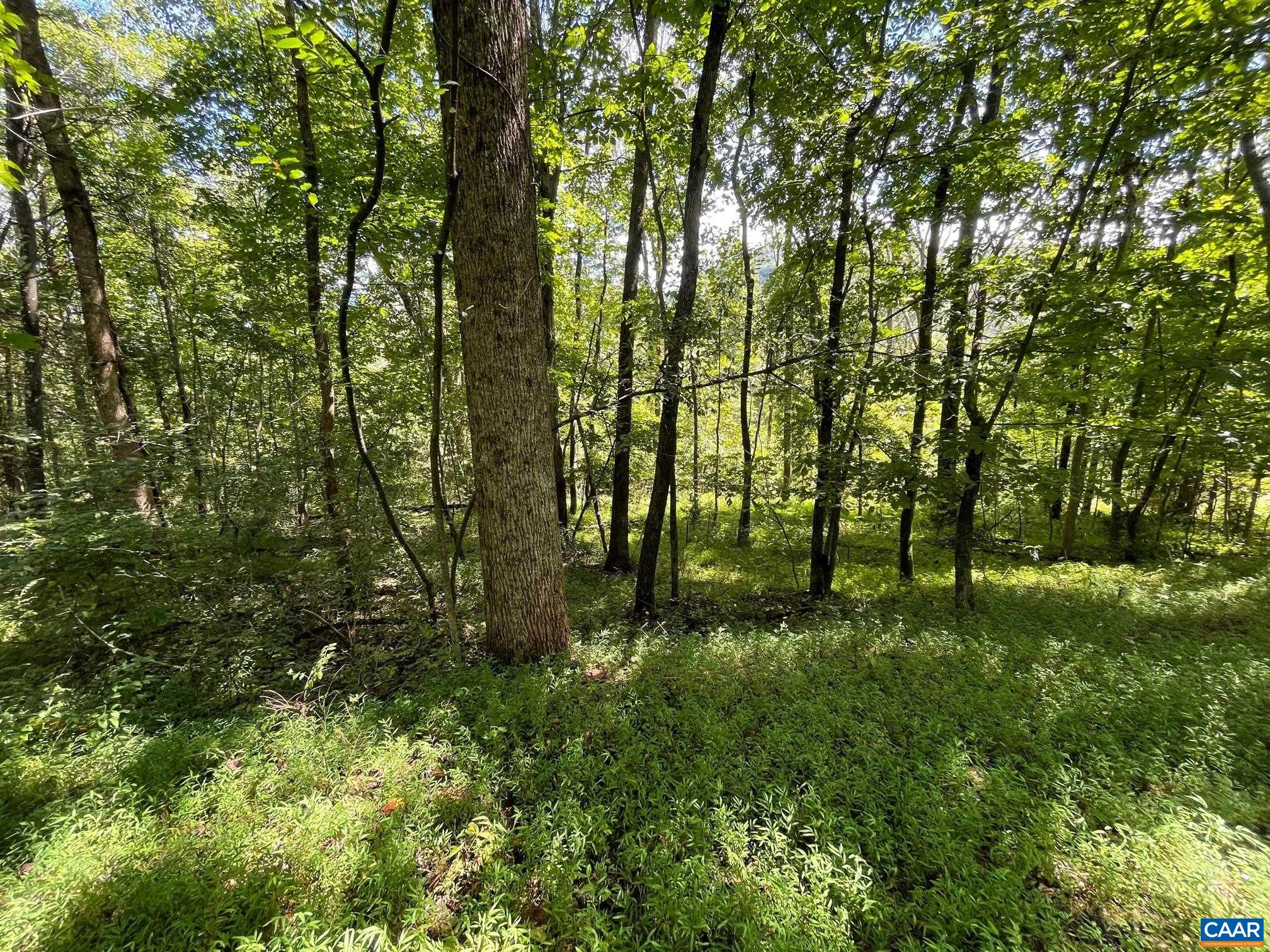 Lot 2 PINE TRL Unit: 2