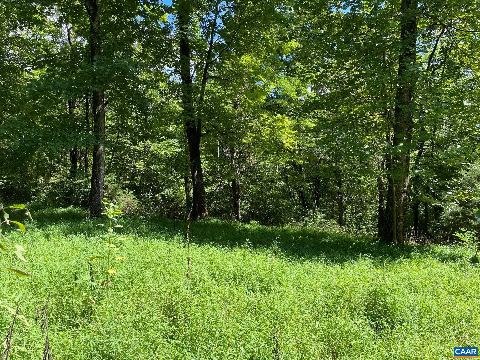 Lot 2 PINE TRL Unit: 2