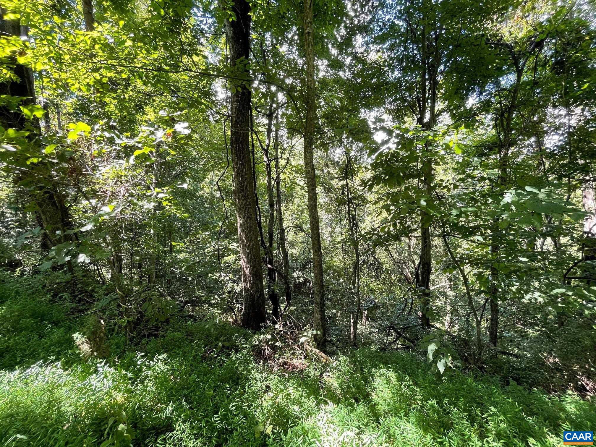 Lot 2 PINE TRL Unit: 2