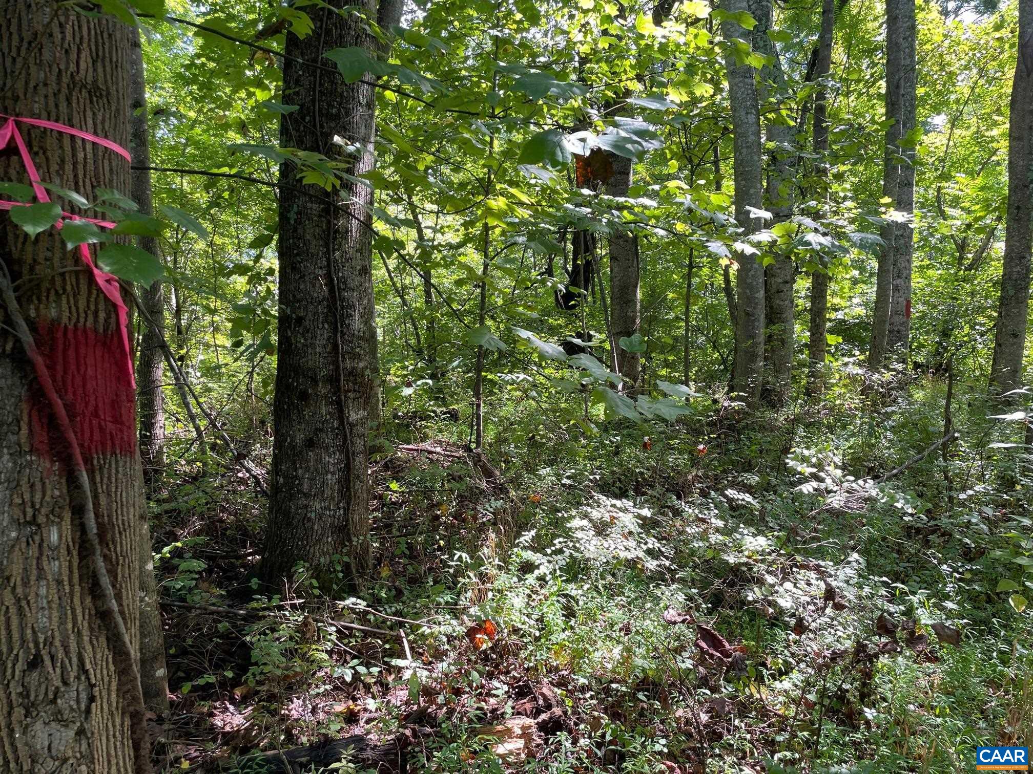 Lot 2 PINE TRL Unit: 2