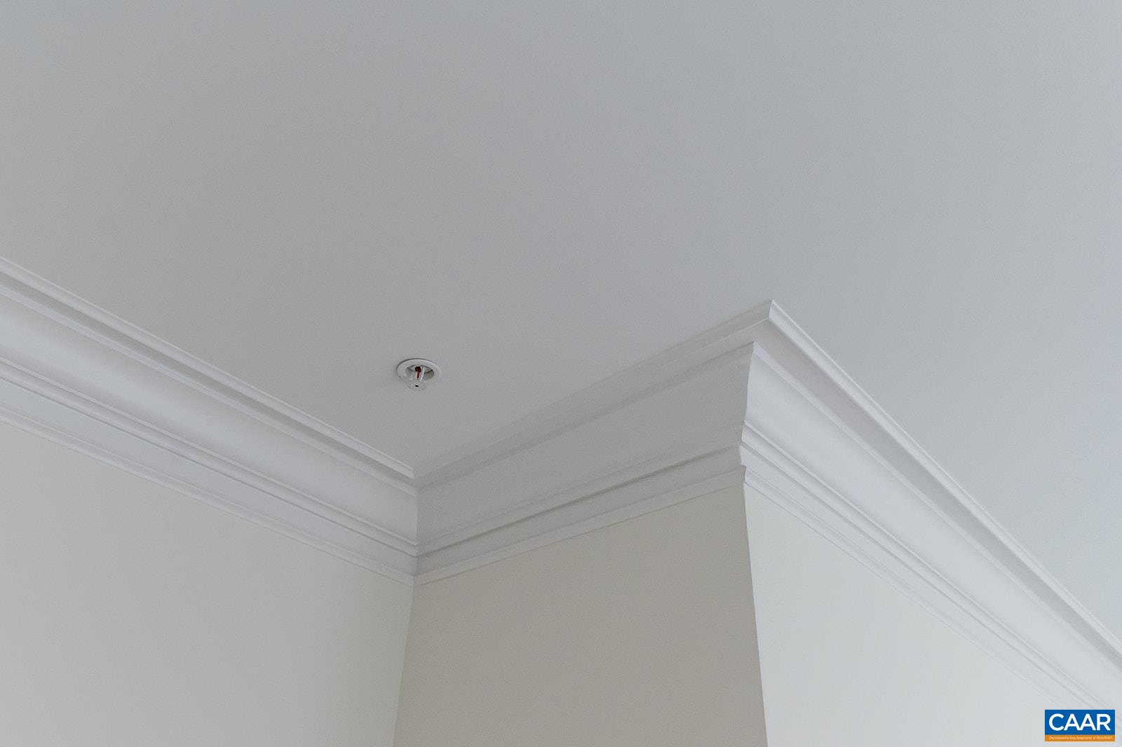 415 WHITE GABLES LN Unit: 101