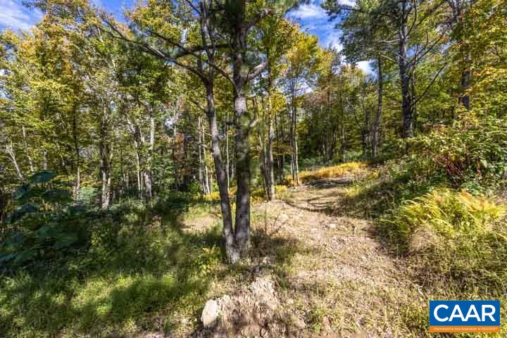 3297 FLATTOP MOUNTAIN RD