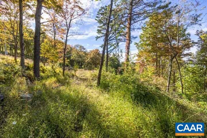 3297 FLATTOP MOUNTAIN RD