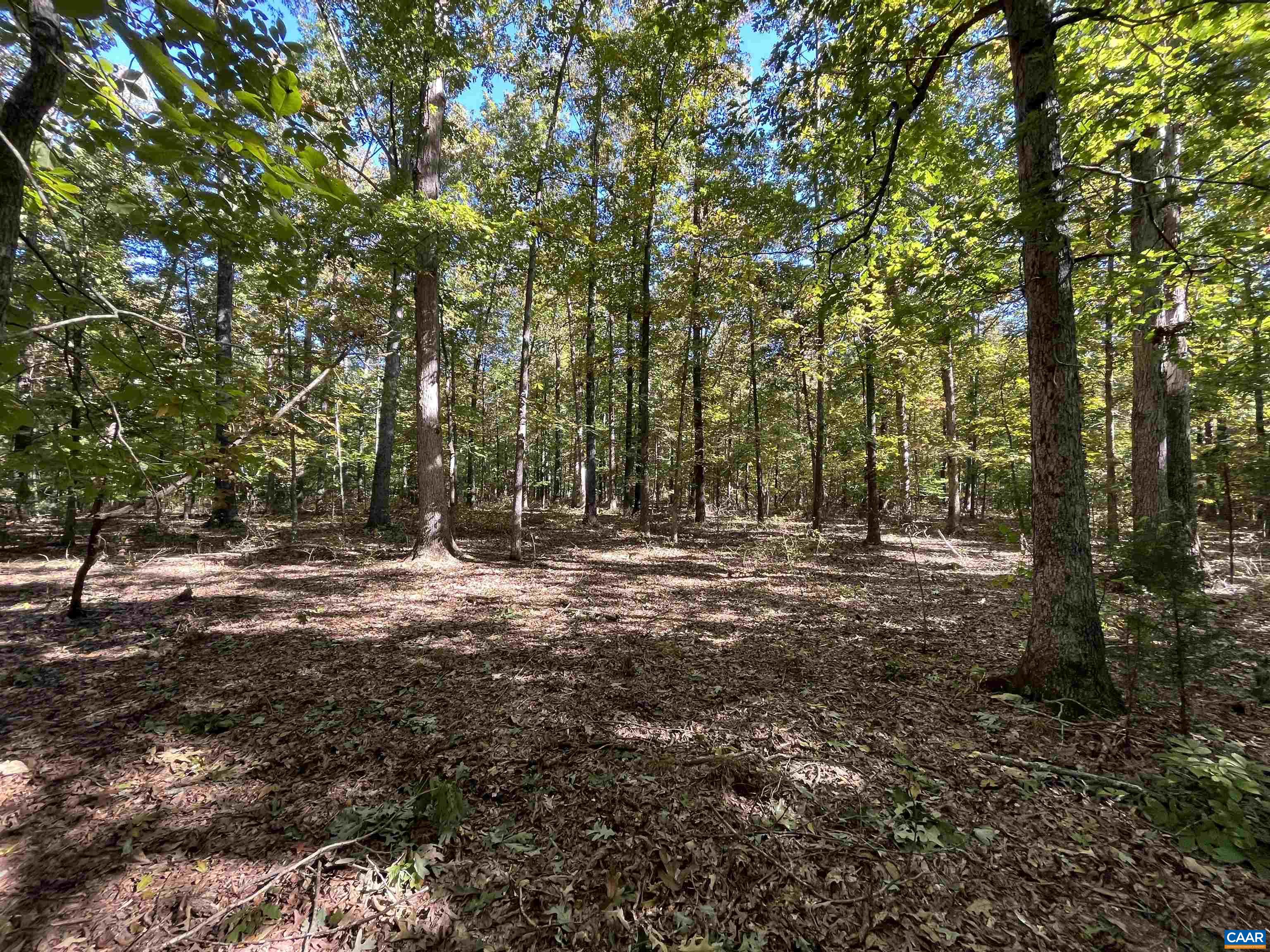 4543 LOWESVILLE RD