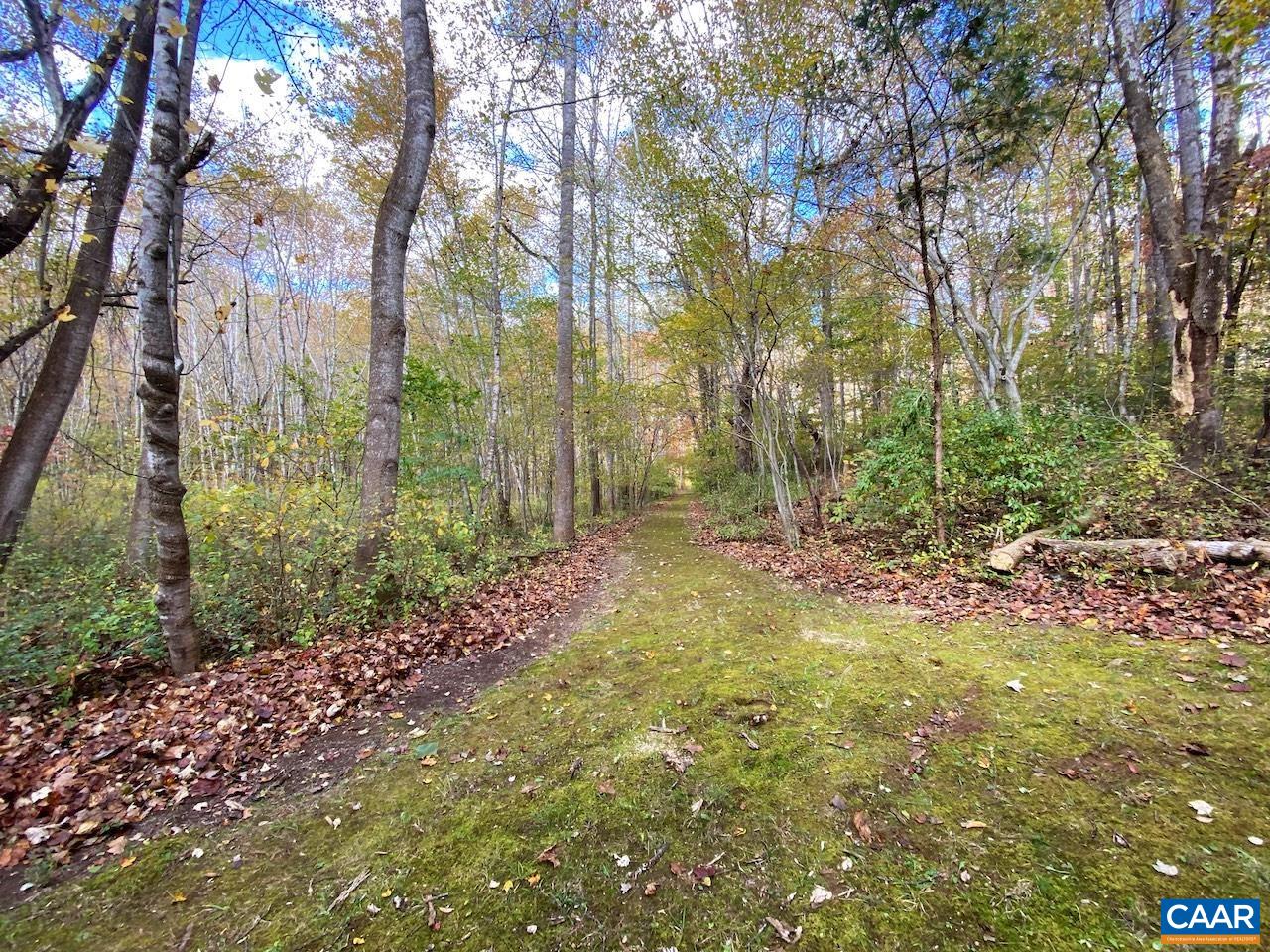 MEADOW VIEW LN