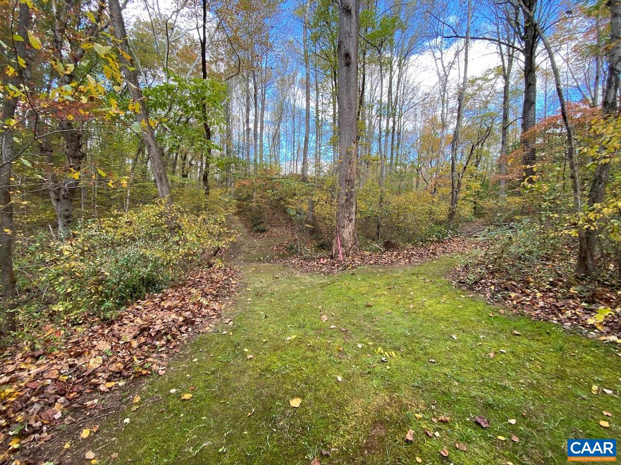 MEADOW VIEW LN
