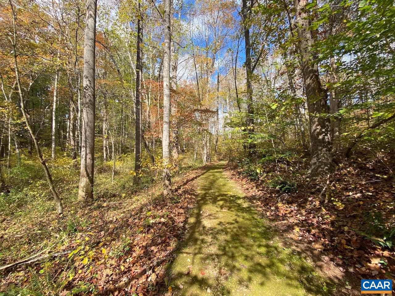 MEADOW VIEW LN
