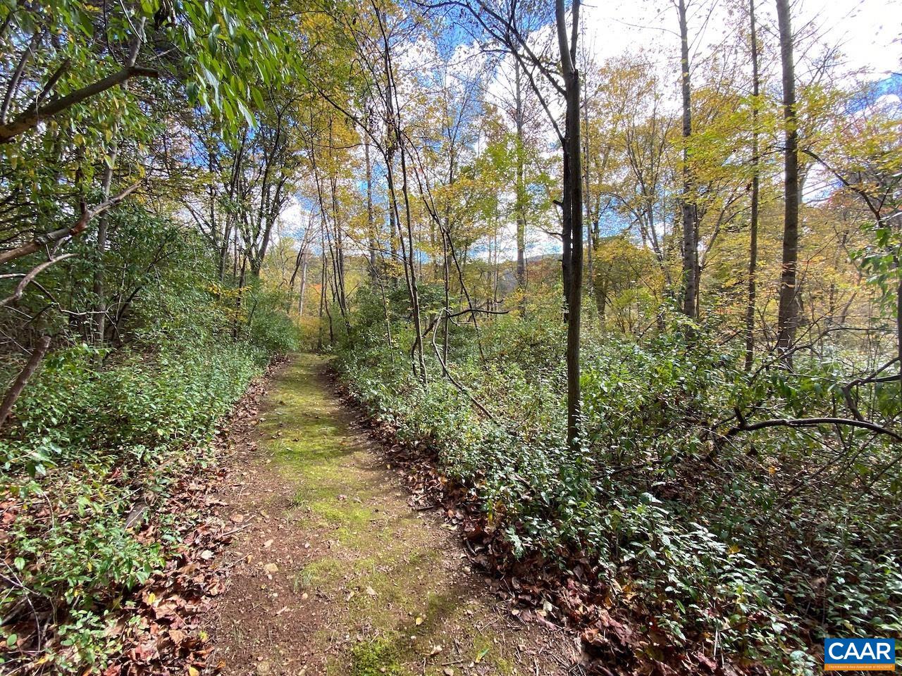 MEADOW VIEW LN