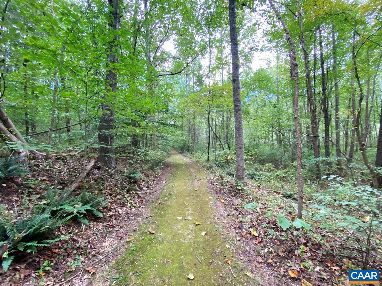 MEADOW VIEW LN