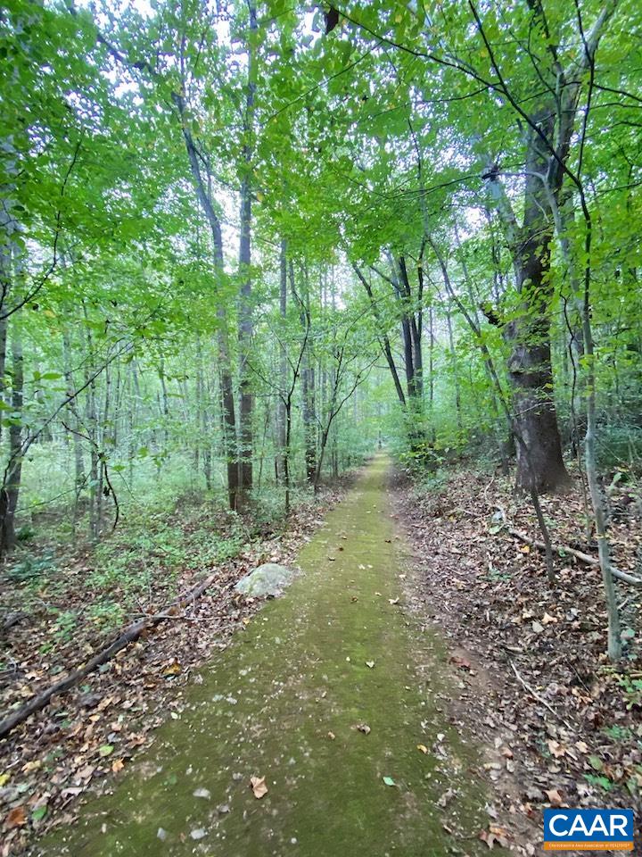 MEADOW VIEW LN