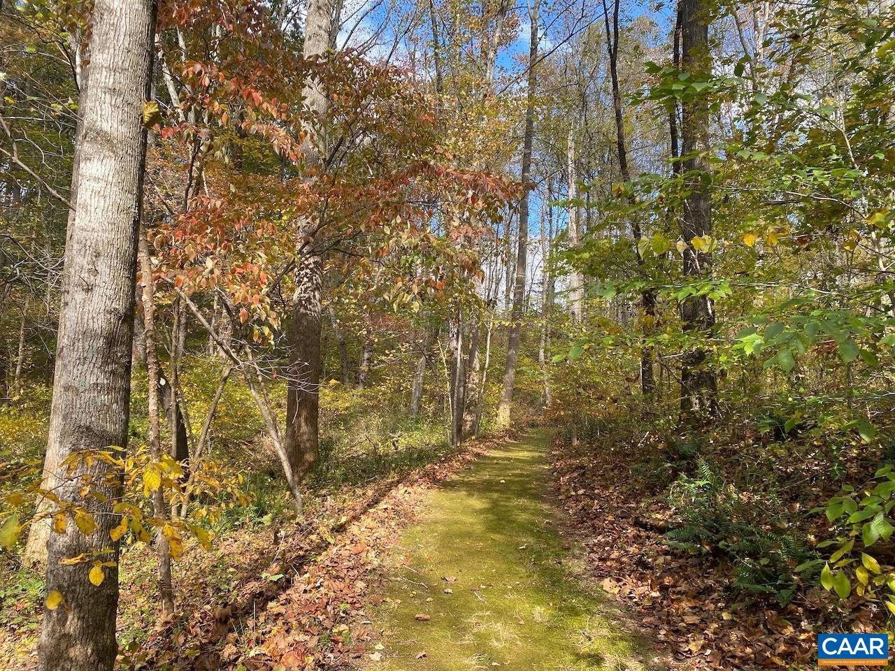 MEADOW VIEW LN