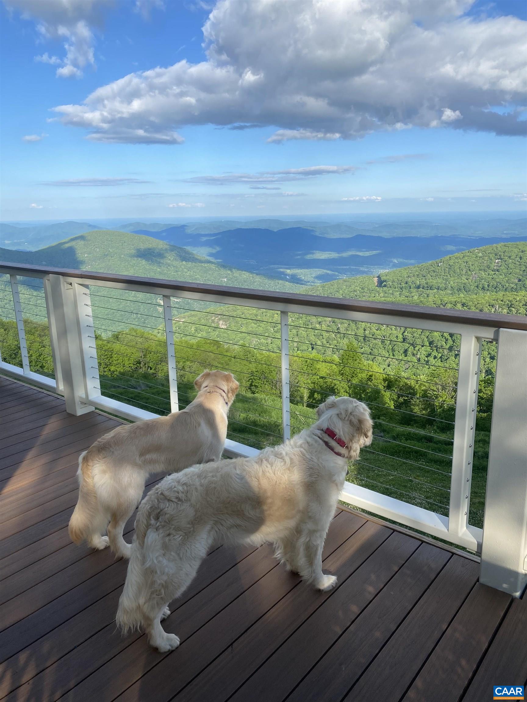 1615 OVERLOOK CONDOS Unit: 1615