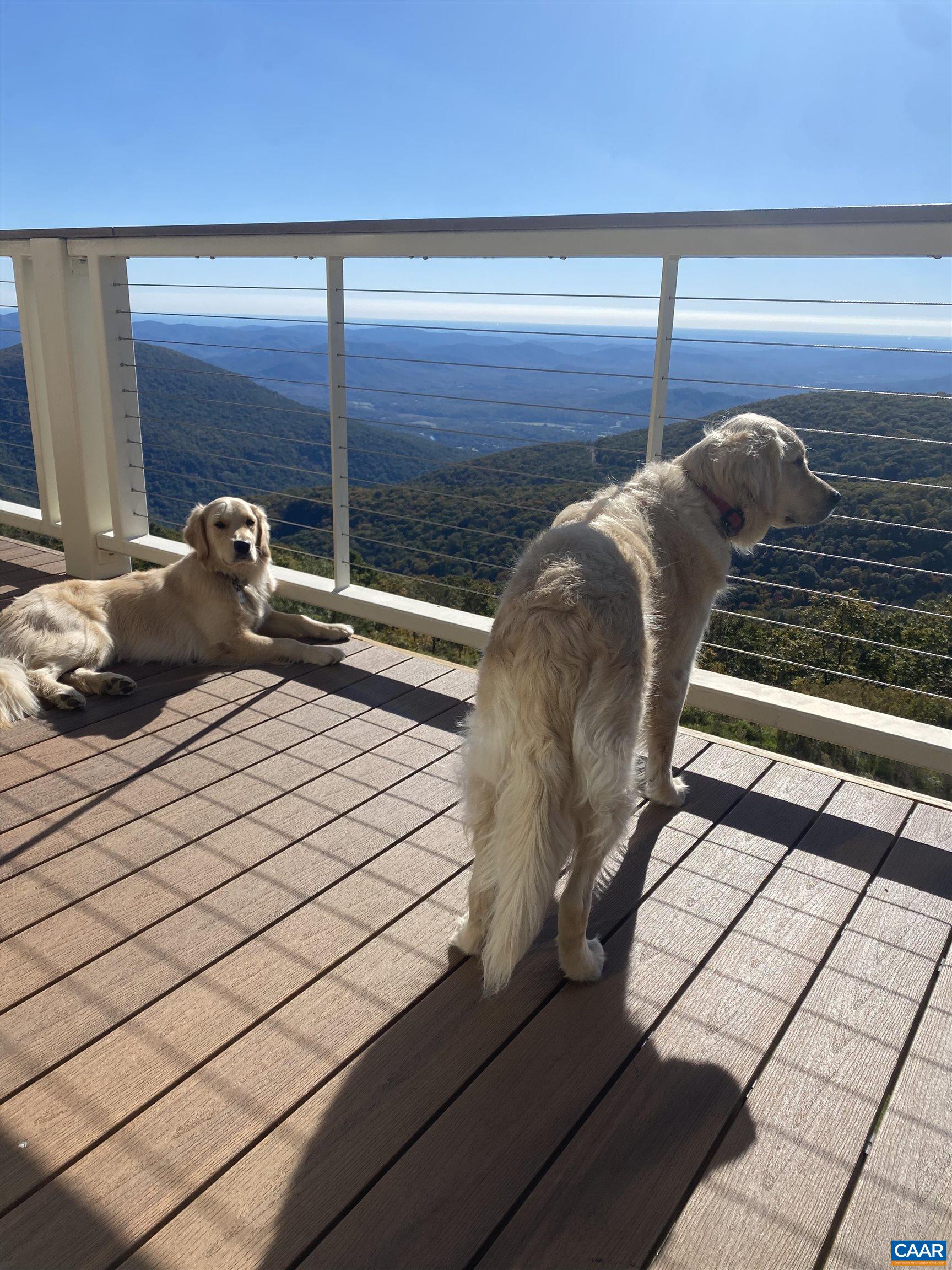 1615 OVERLOOK CONDOS Unit: 1615