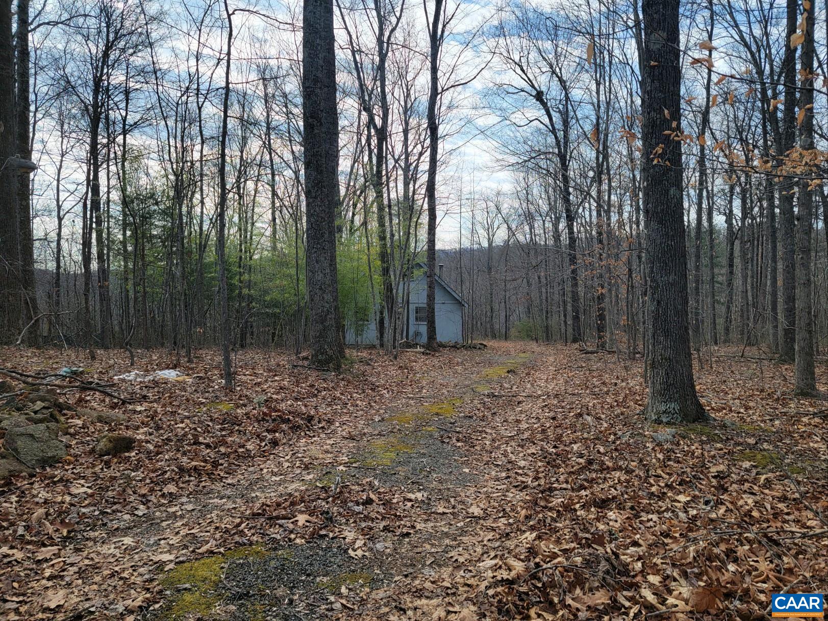 415 PINE HILL DR