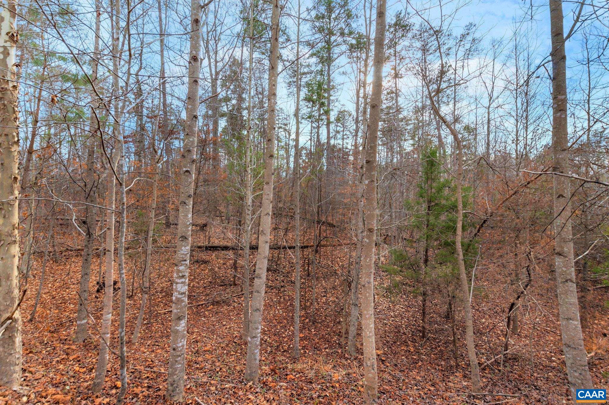 Lot 36 LILAC PL Unit: 36