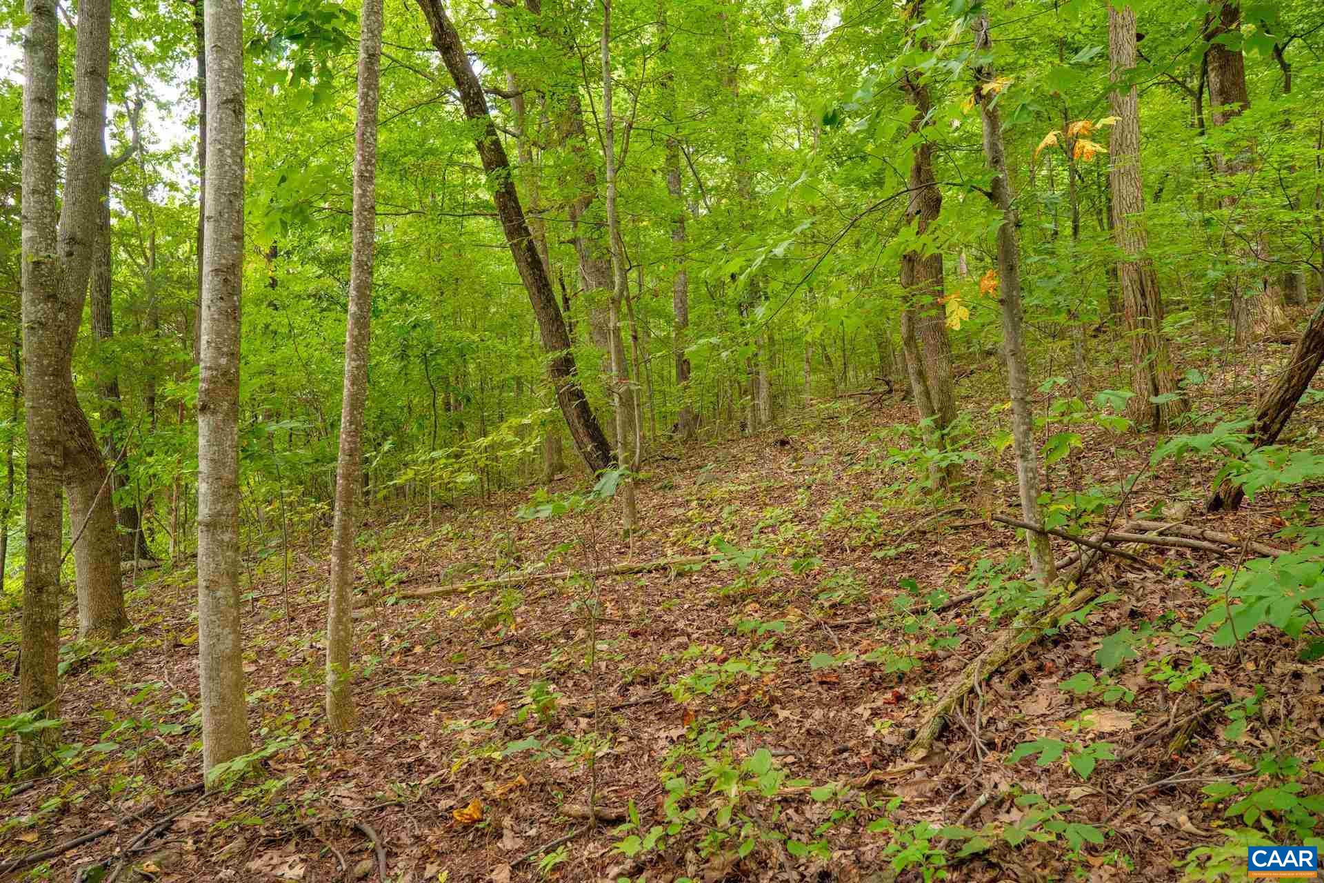 Lot #7 FARMVIEW RD