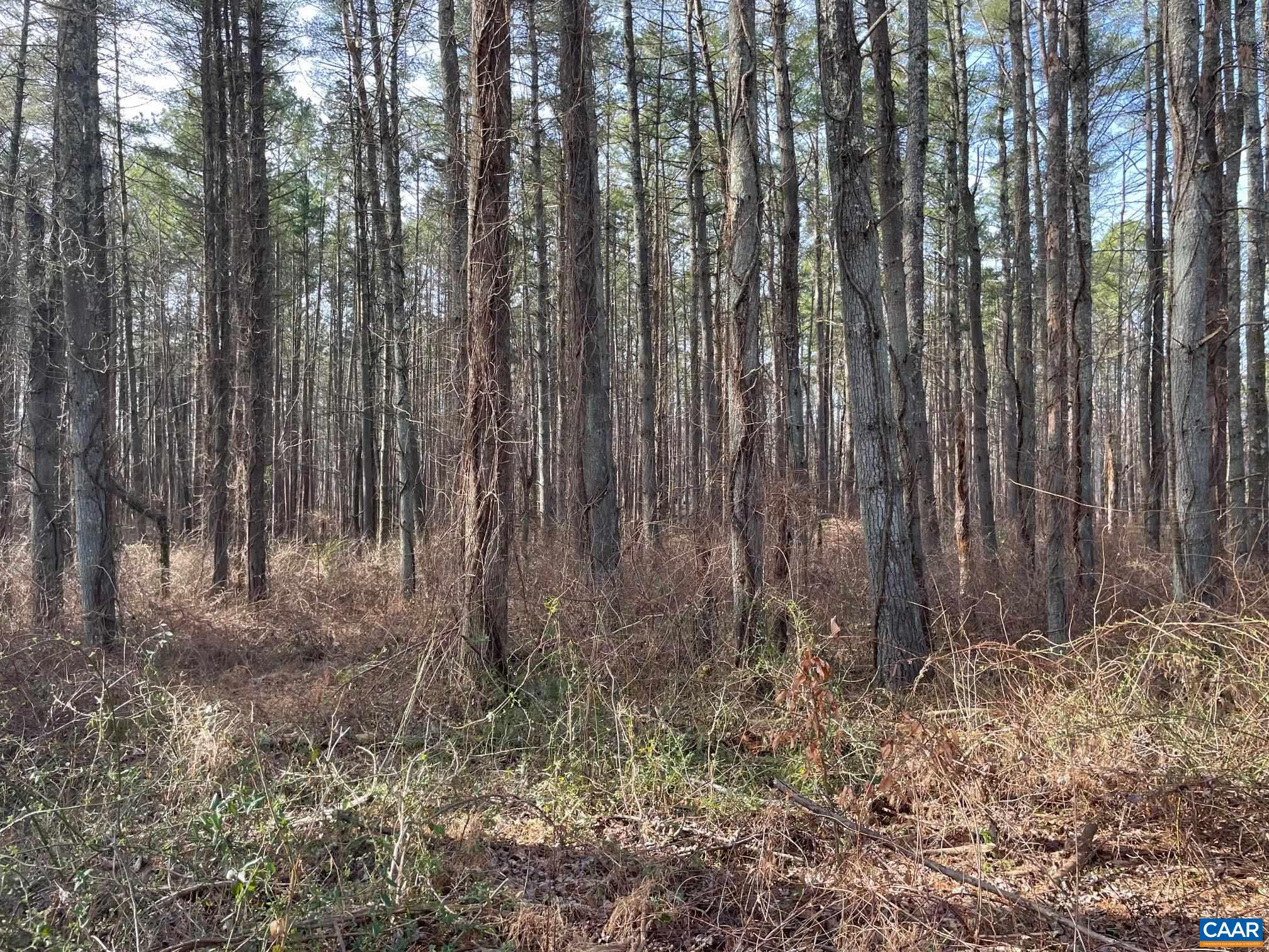 120 DEER RUN