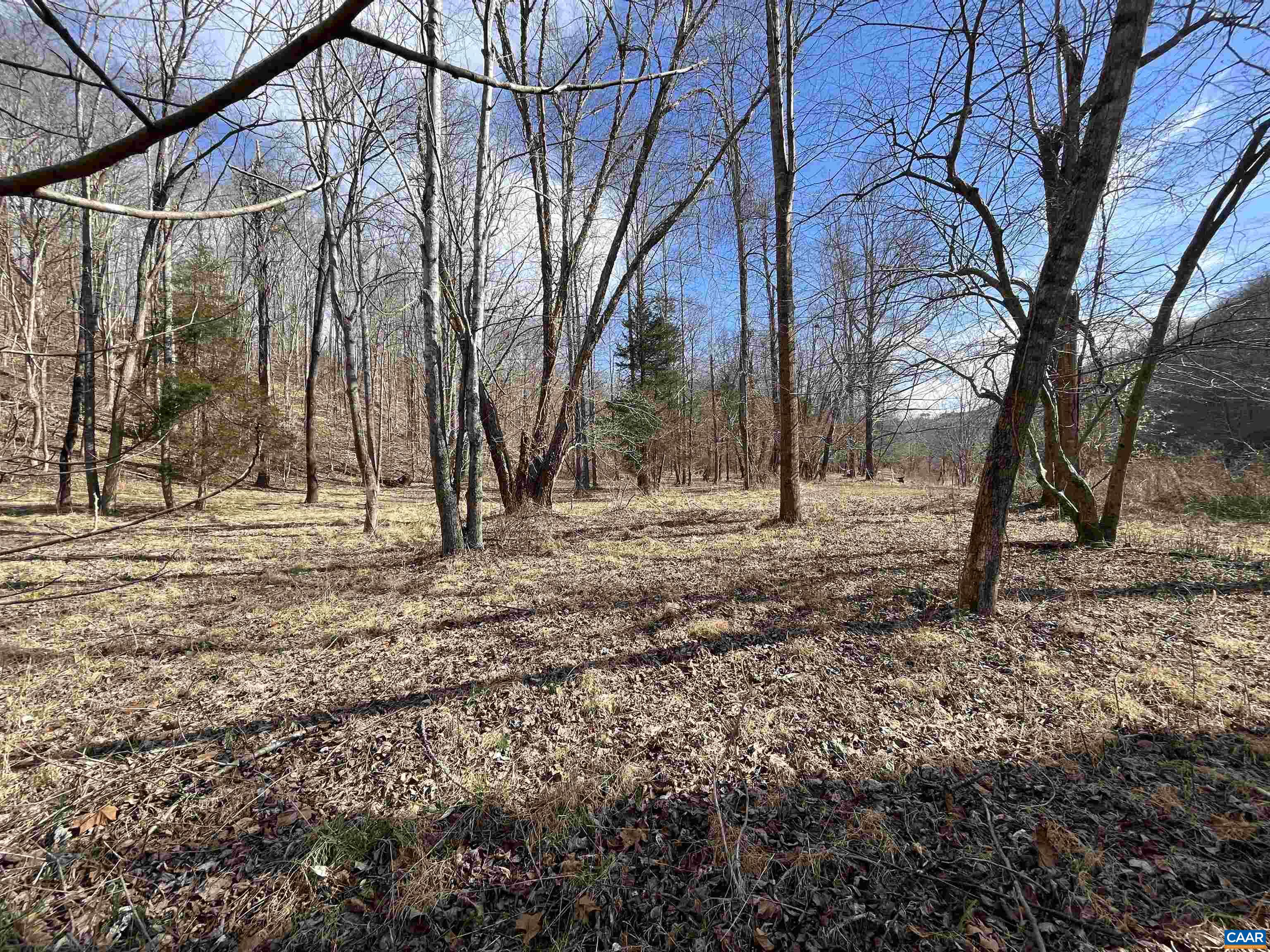 2970 CEDAR CREEK RD