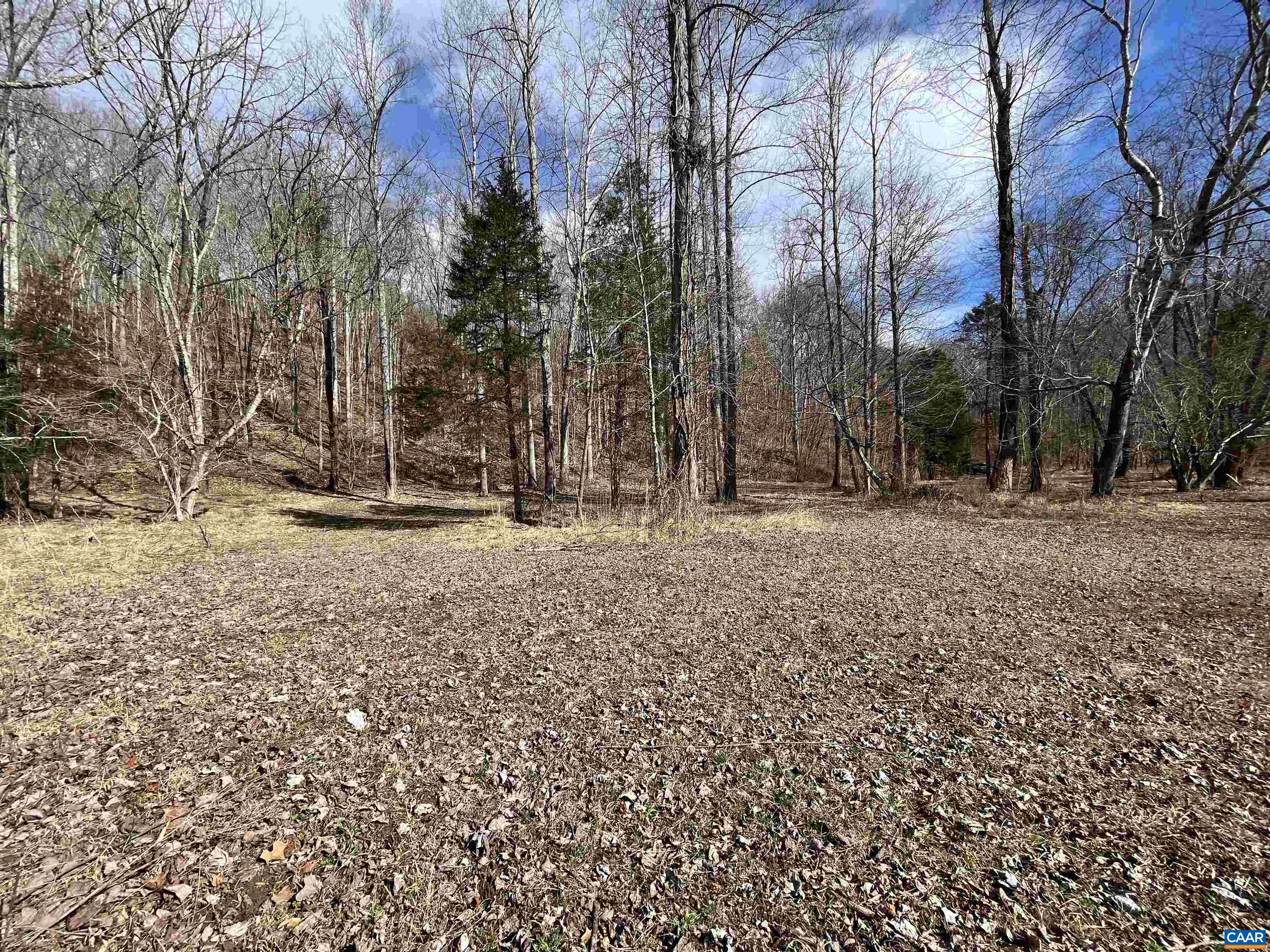 2970 CEDAR CREEK RD