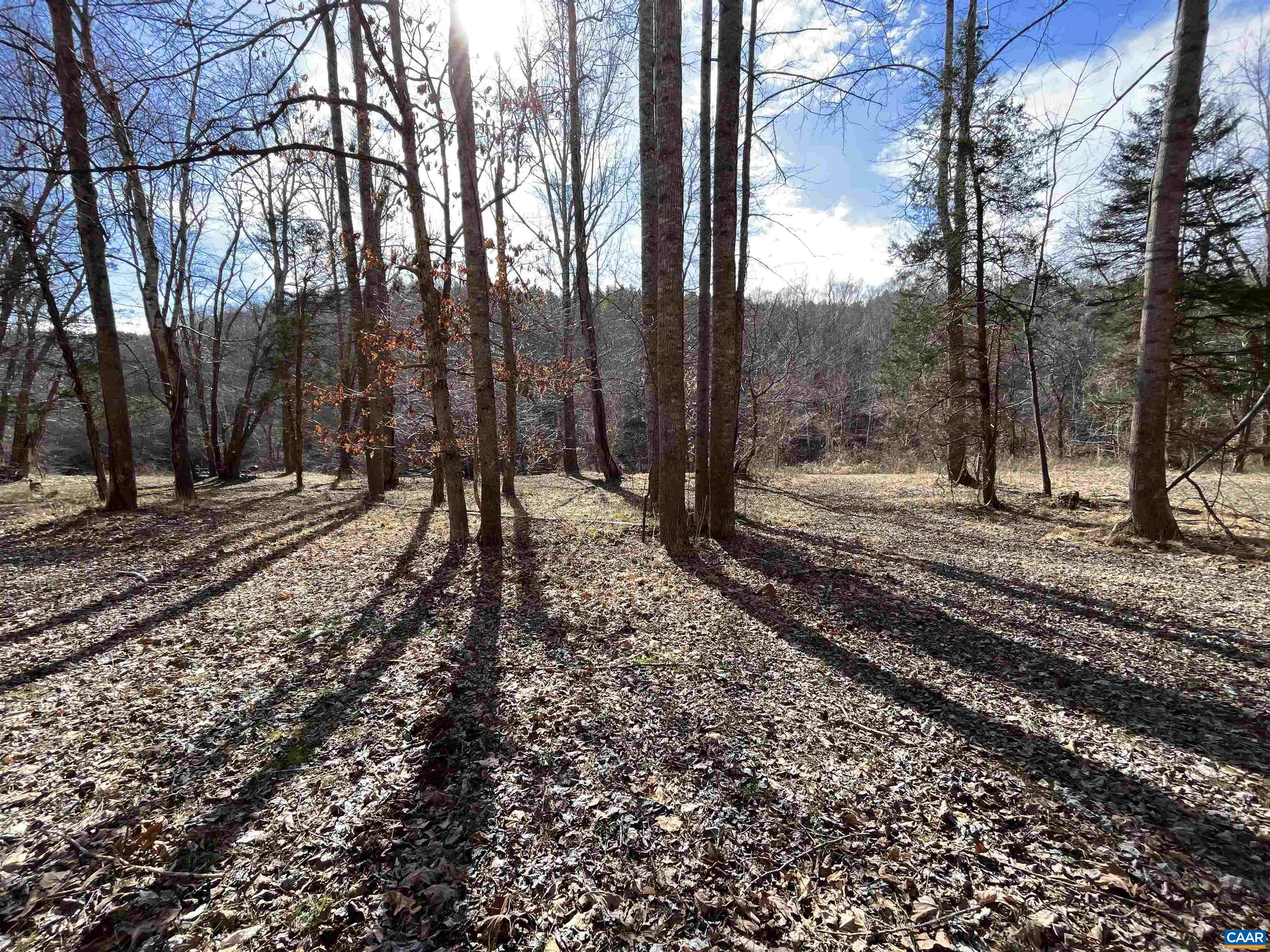 2970 CEDAR CREEK RD