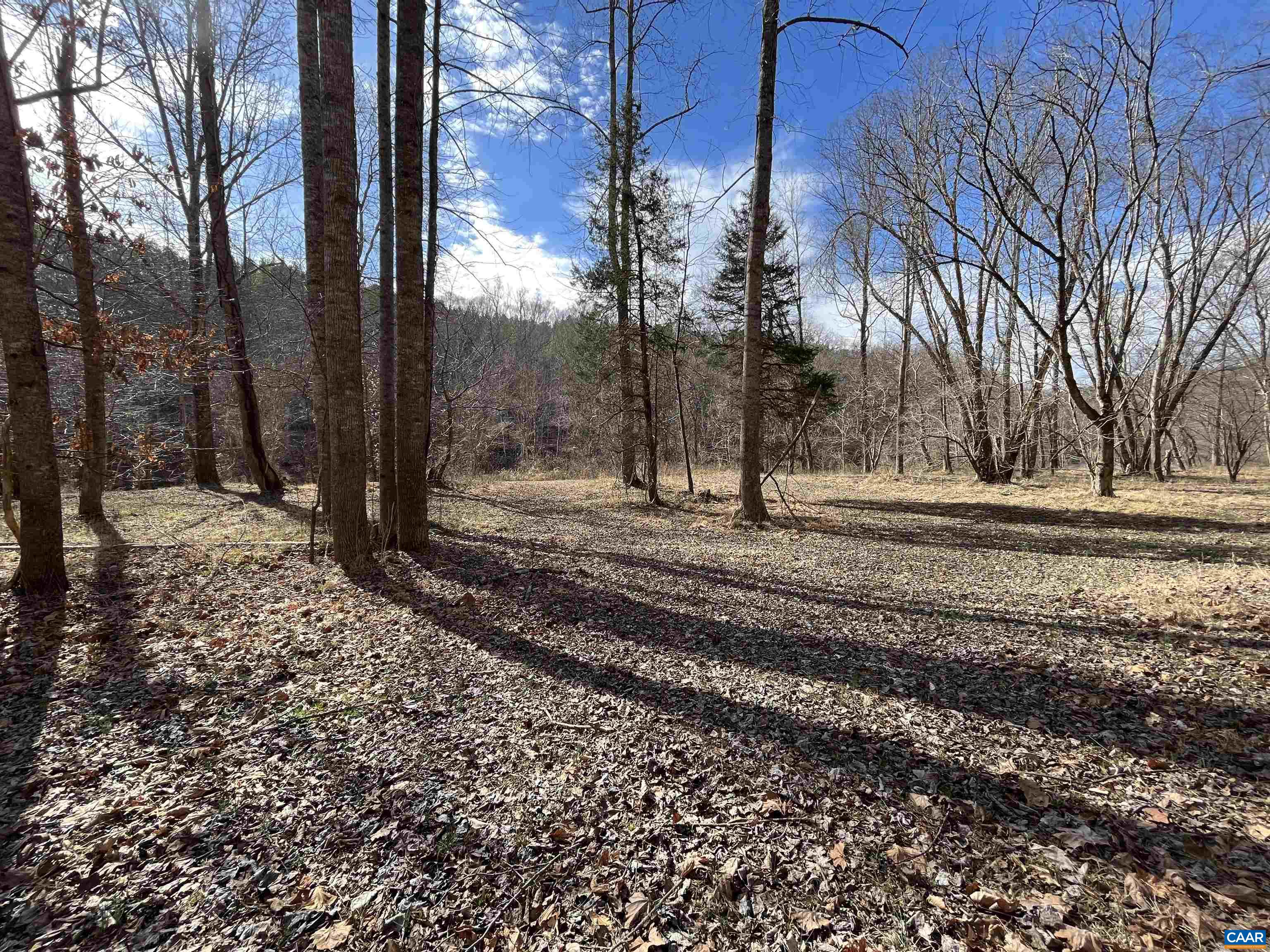 2970 CEDAR CREEK RD