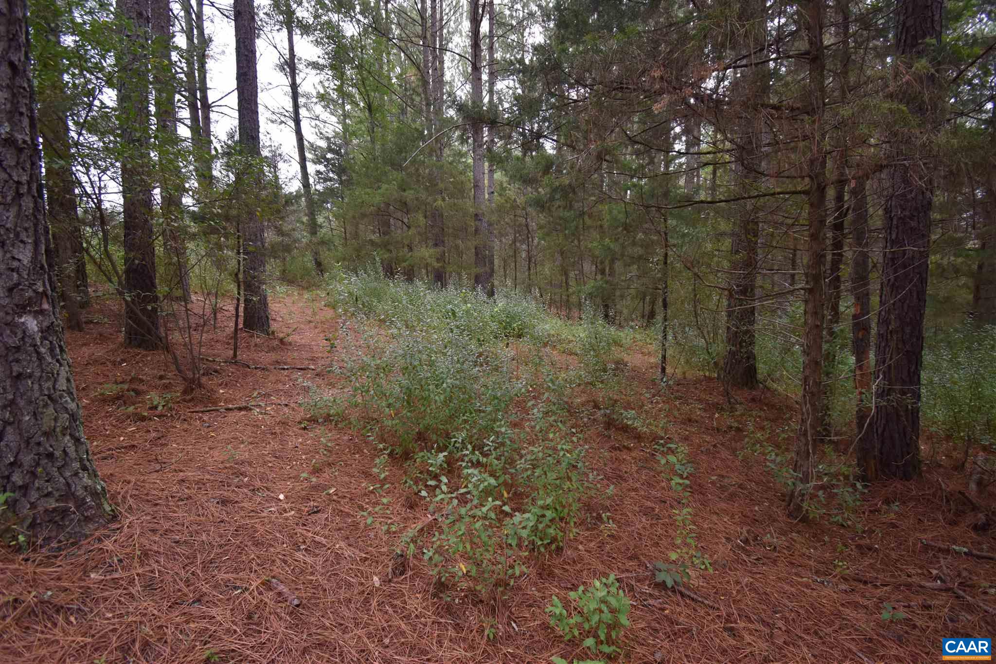 Lot 6 RIDGEVIEW DR Unit: 6