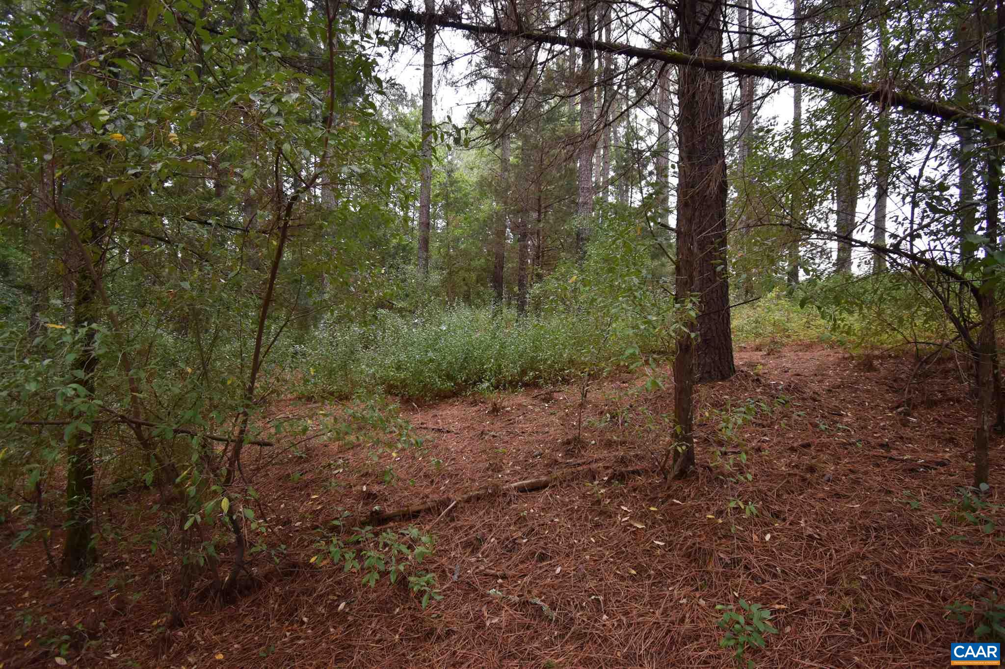 Lot 6 RIDGEVIEW DR Unit: 6